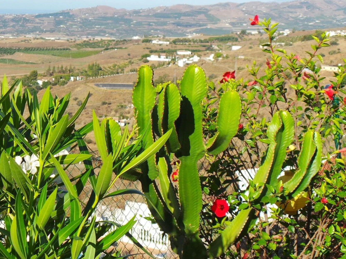 Luxurious Villa in Arenas with Swimming Pool