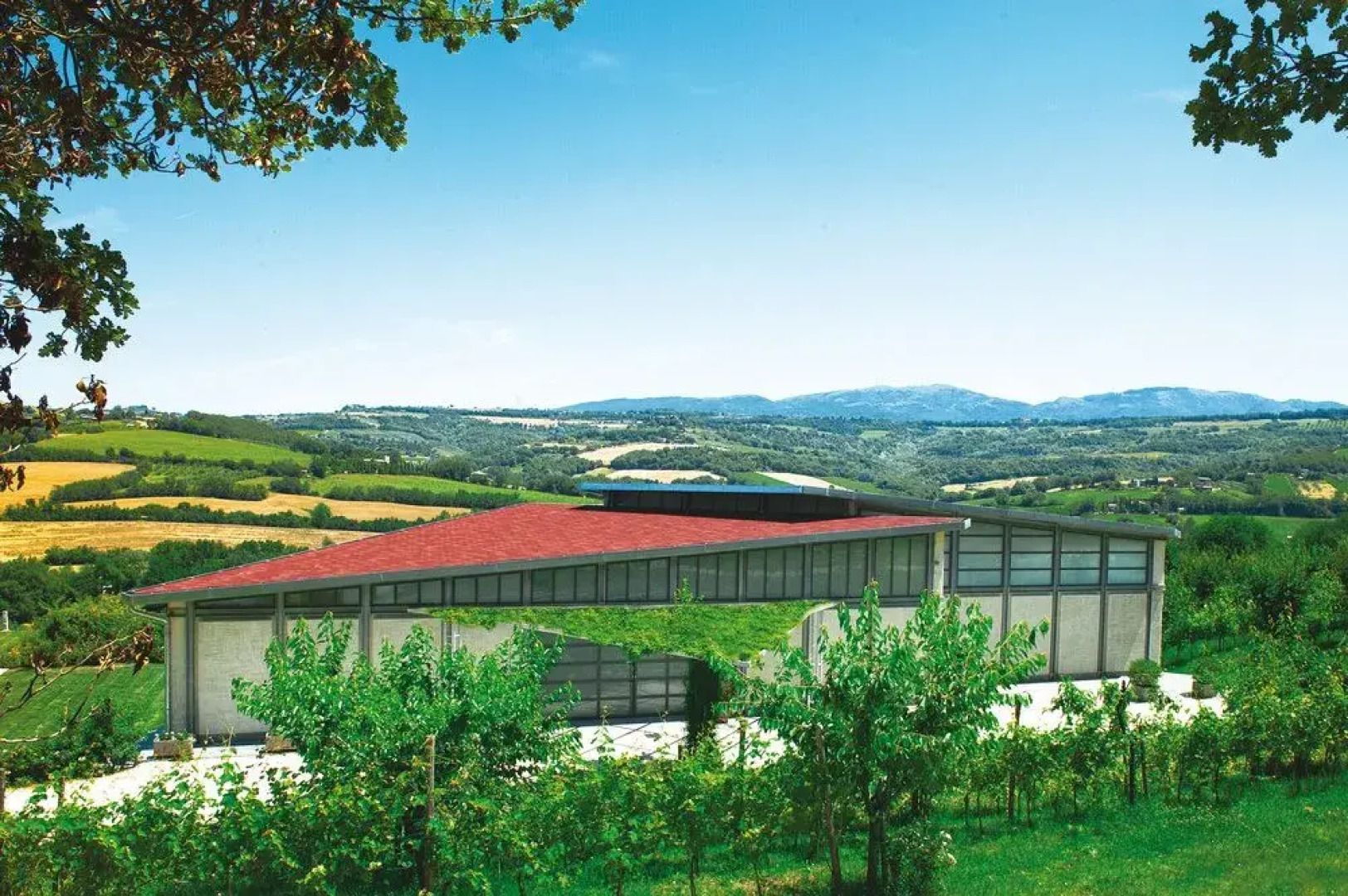 Roccafiore Residenza