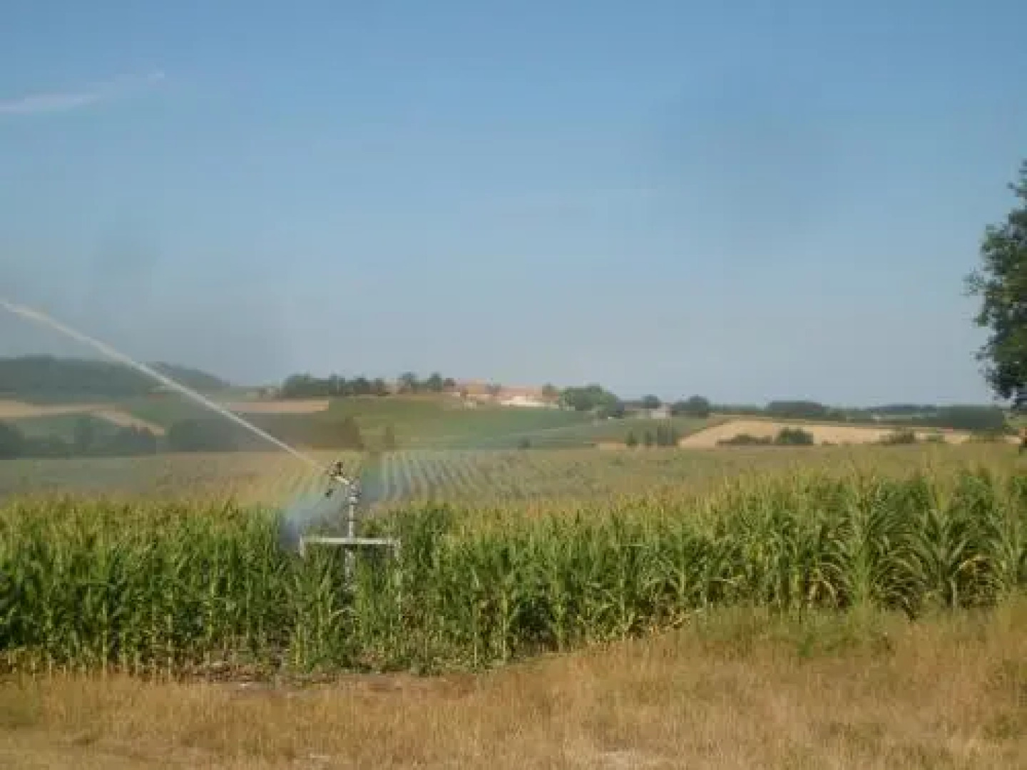 L'Ecurie, Manoir de Longeveau