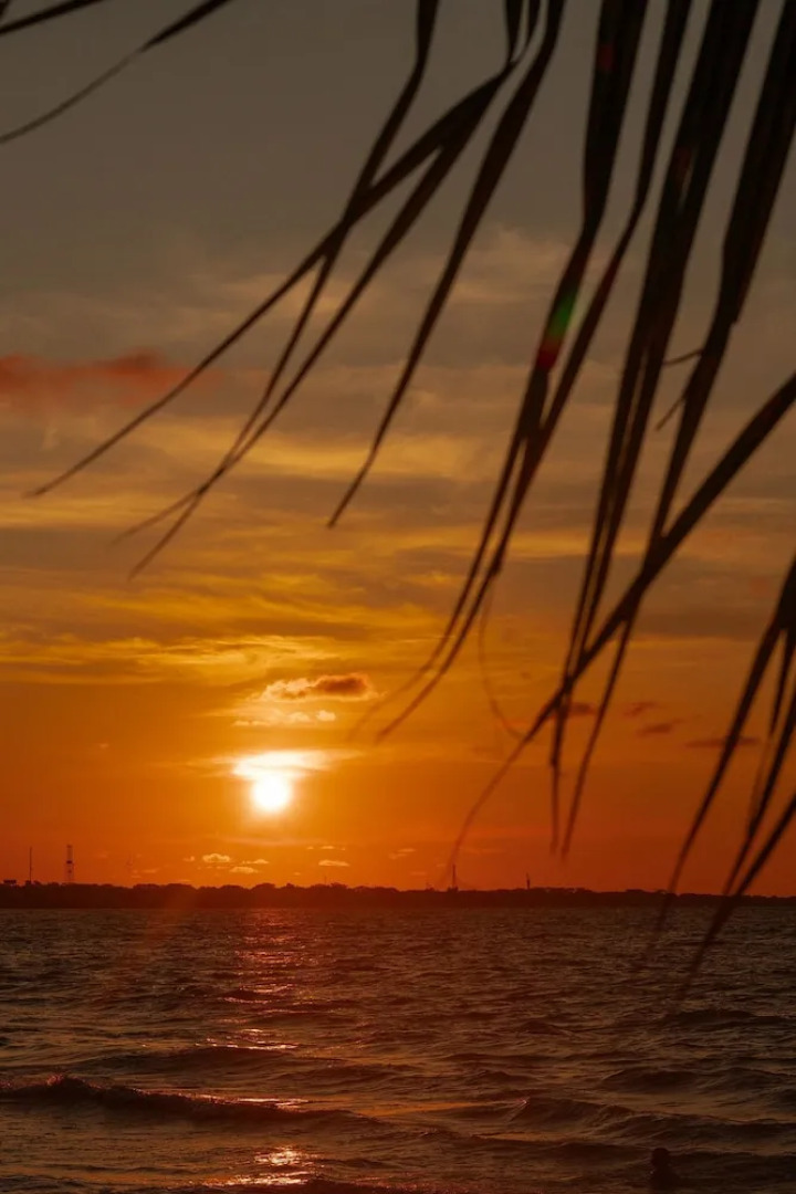 Condominio Caribe Campestr Olamar Living