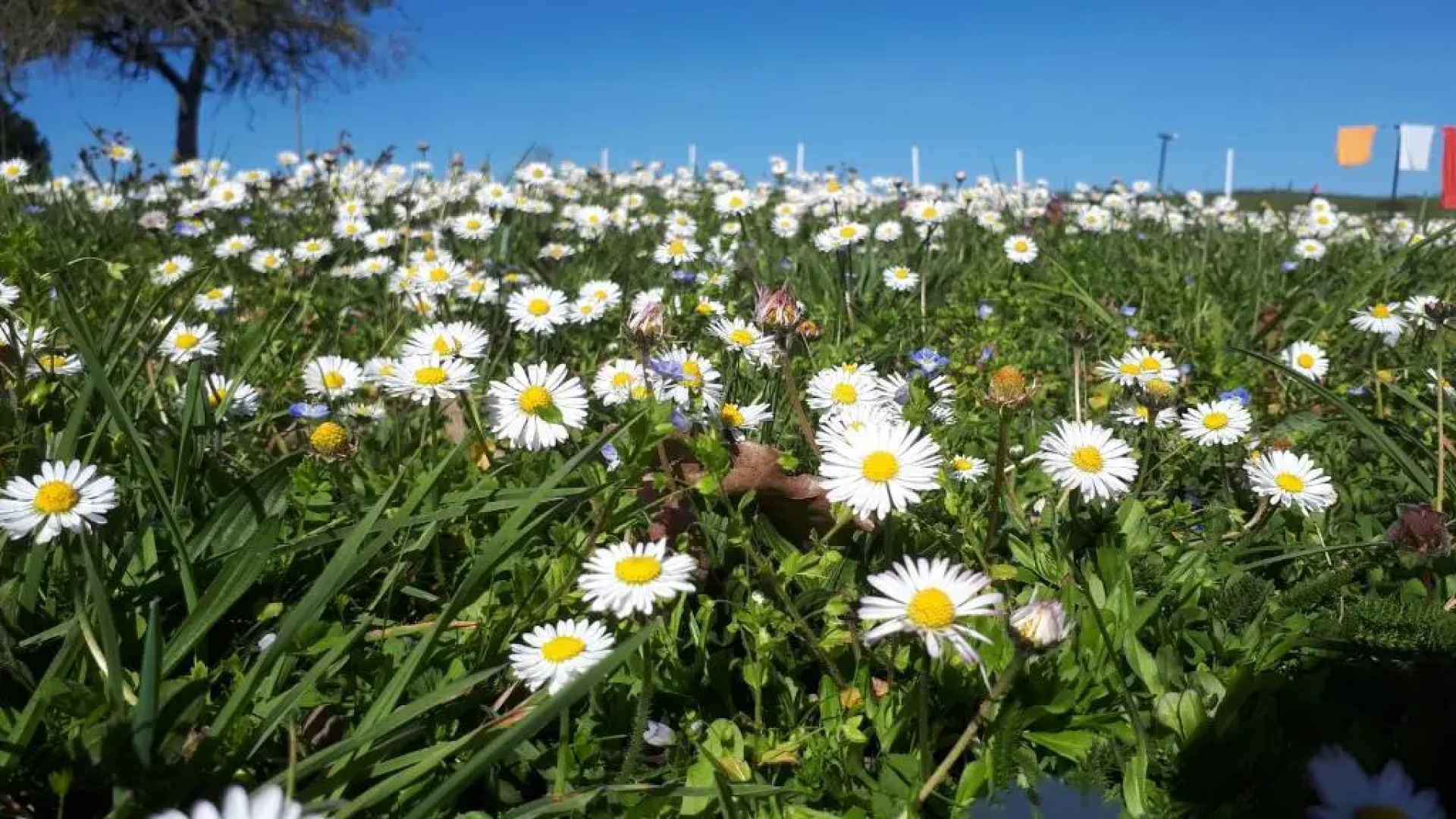 Villa du Cerf Thibault