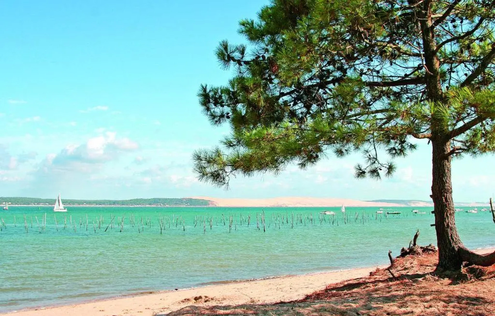 VVF Lège Cap Ferret, Claouey