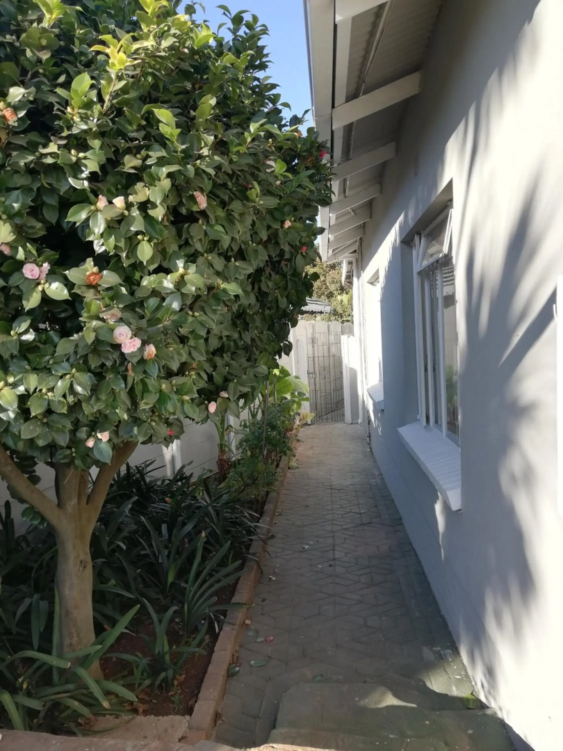 Willow Guest House