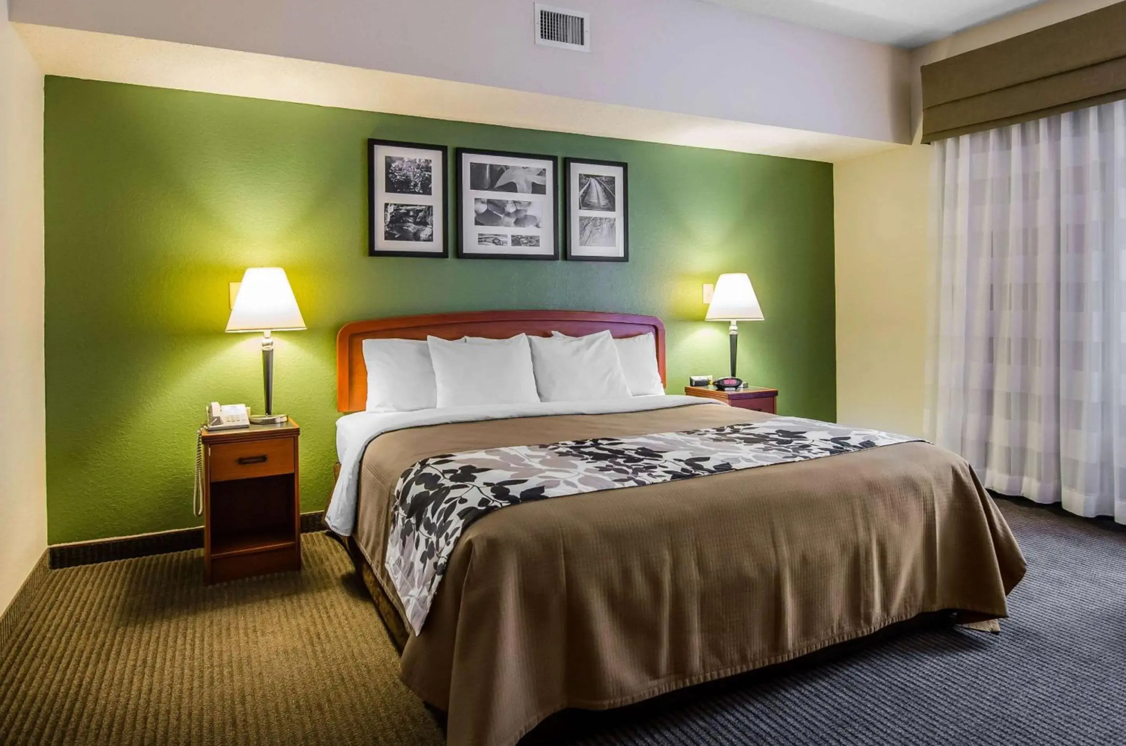 Sleep Inn & Suites Danville Hwy 58