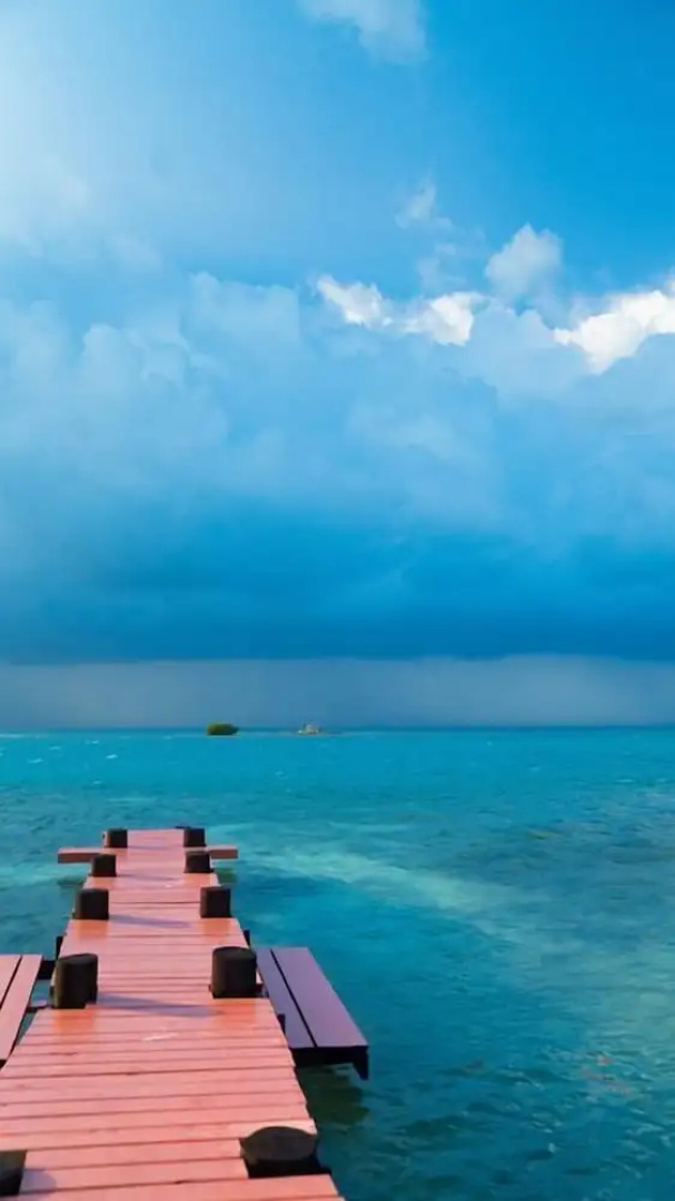 Bird Island Placencia