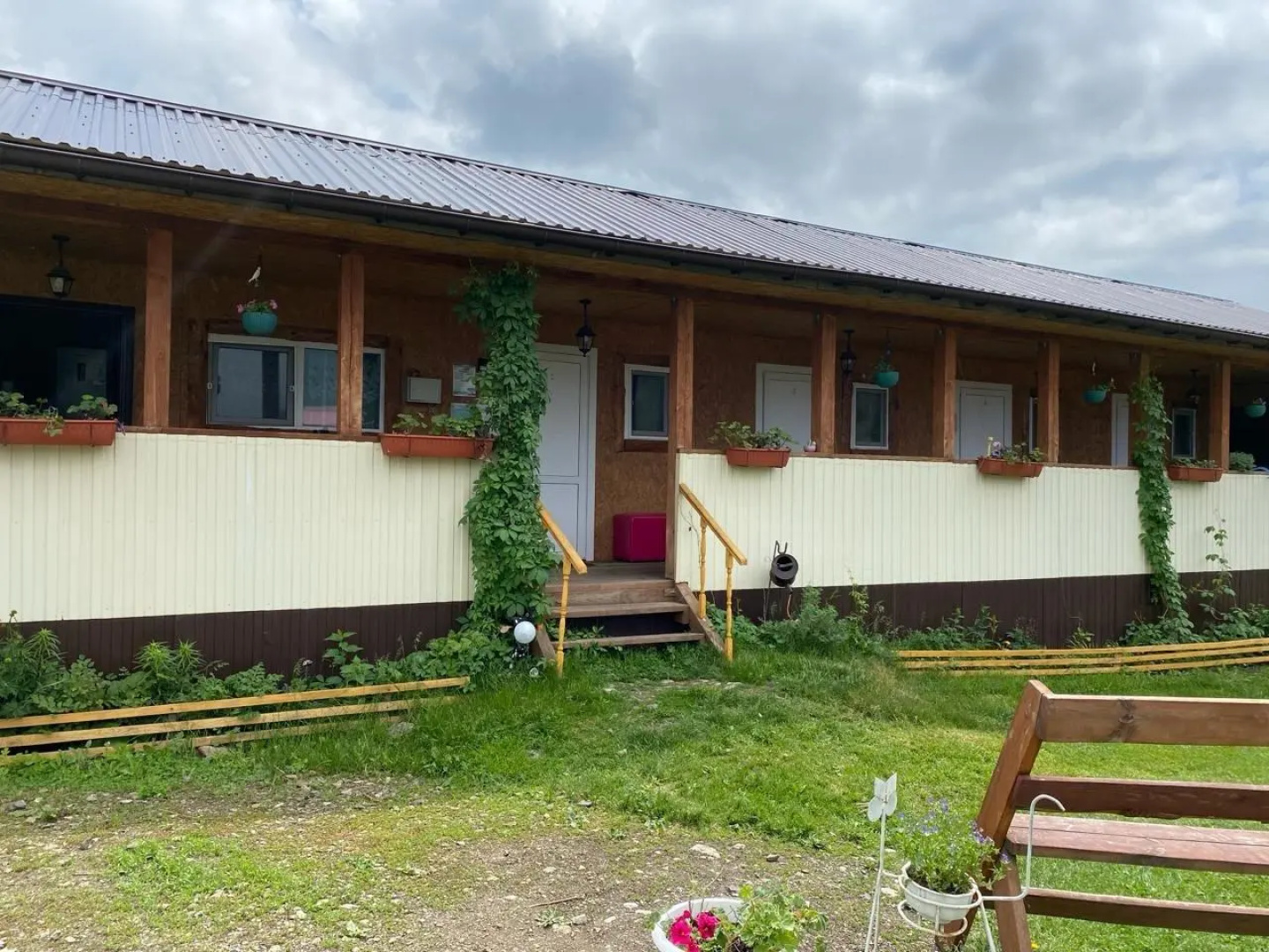Чижик на улице Дворникова 12