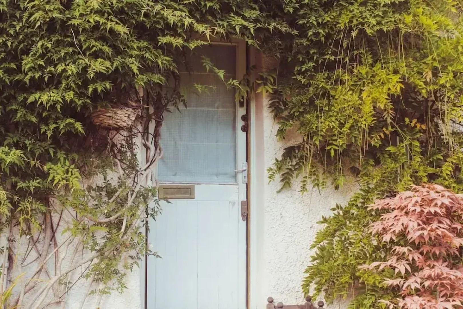 Cottage By The River