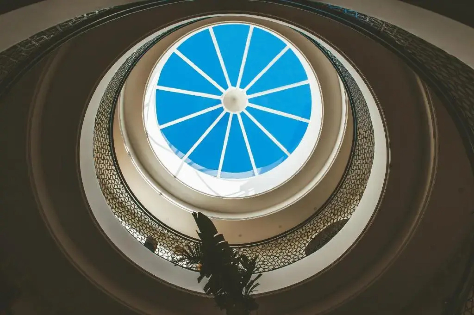 The Yogi Surfer - Hostel