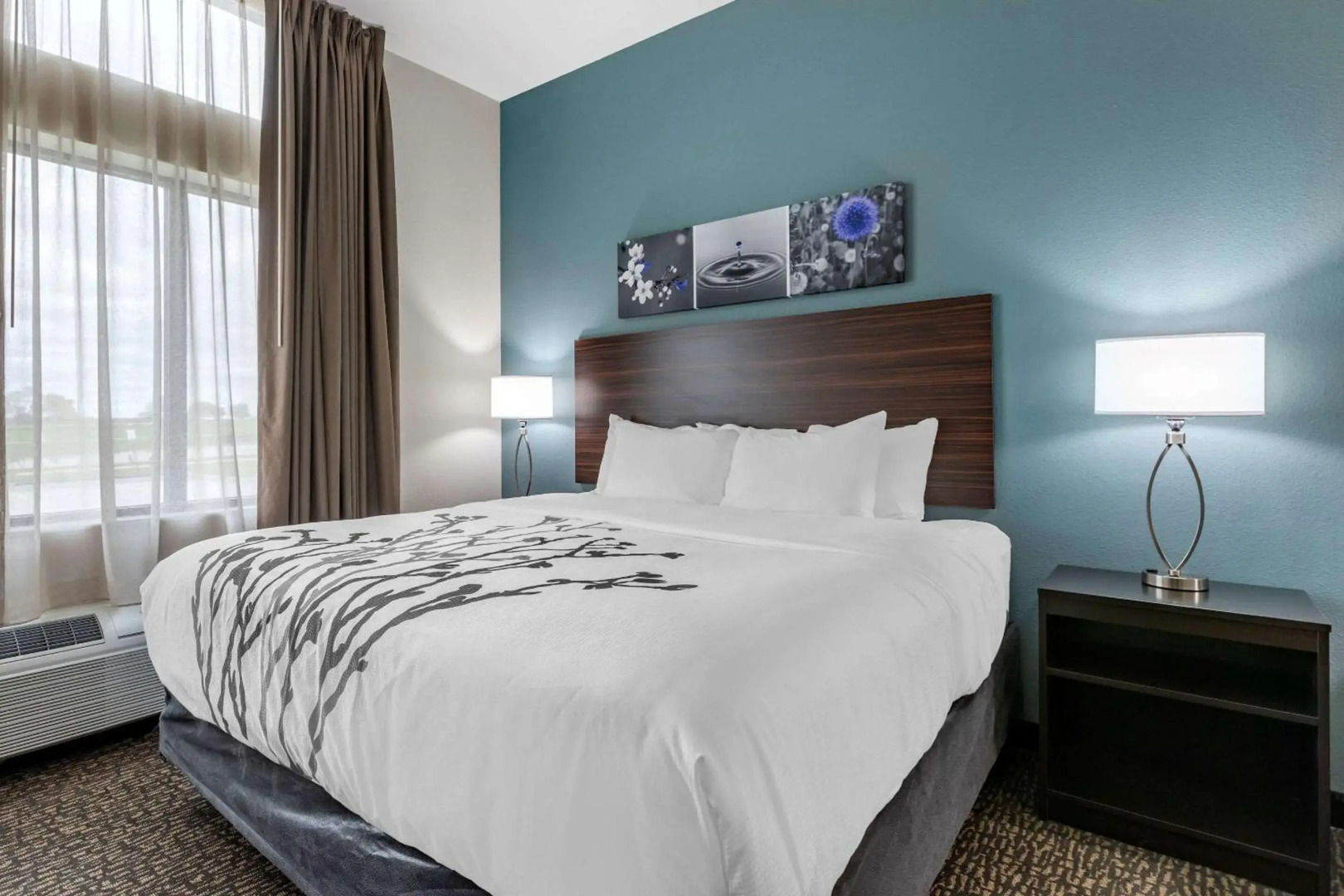 Sleep Inn Waukee-West Des Moines