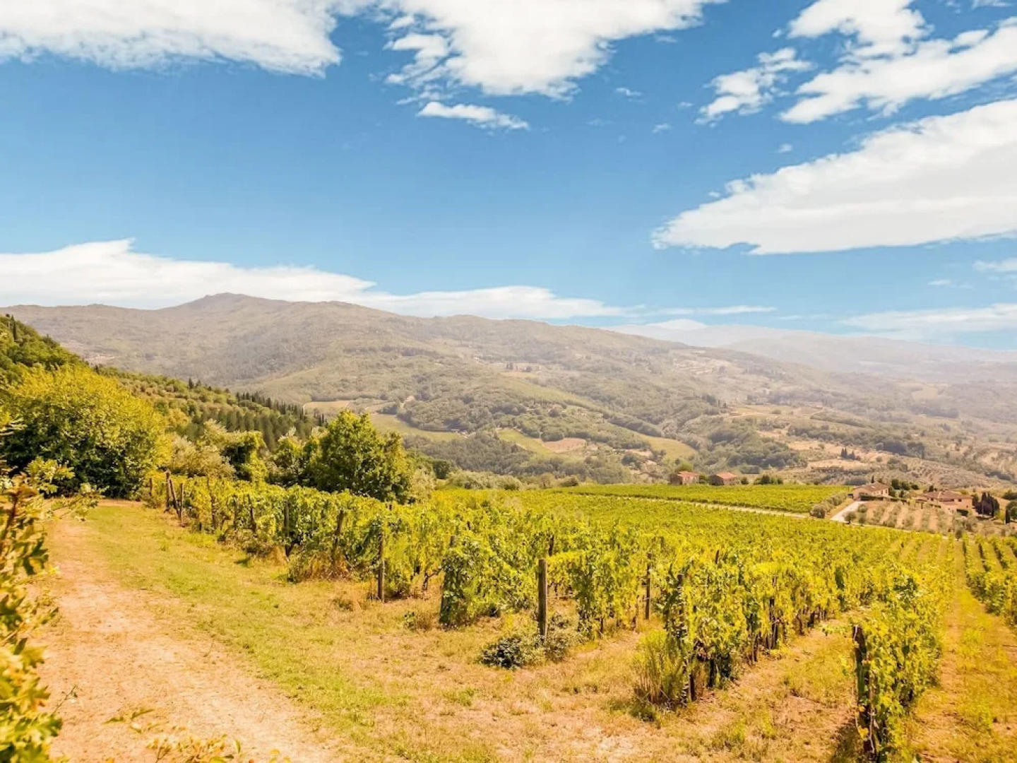 Charming Holiday Home in Pontassieve With Swimming Pool