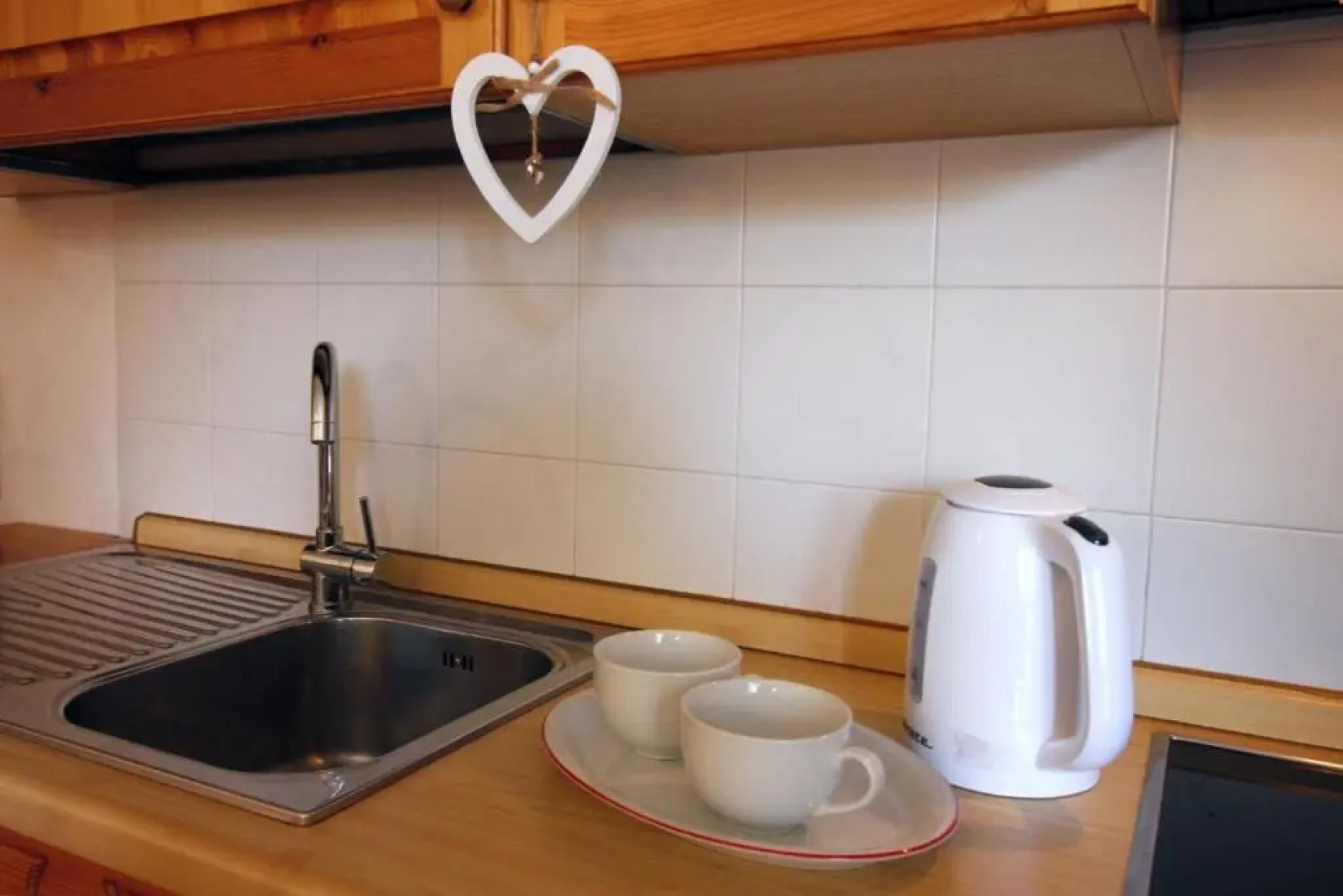 IL GUFO BIANCO dal cuore grande