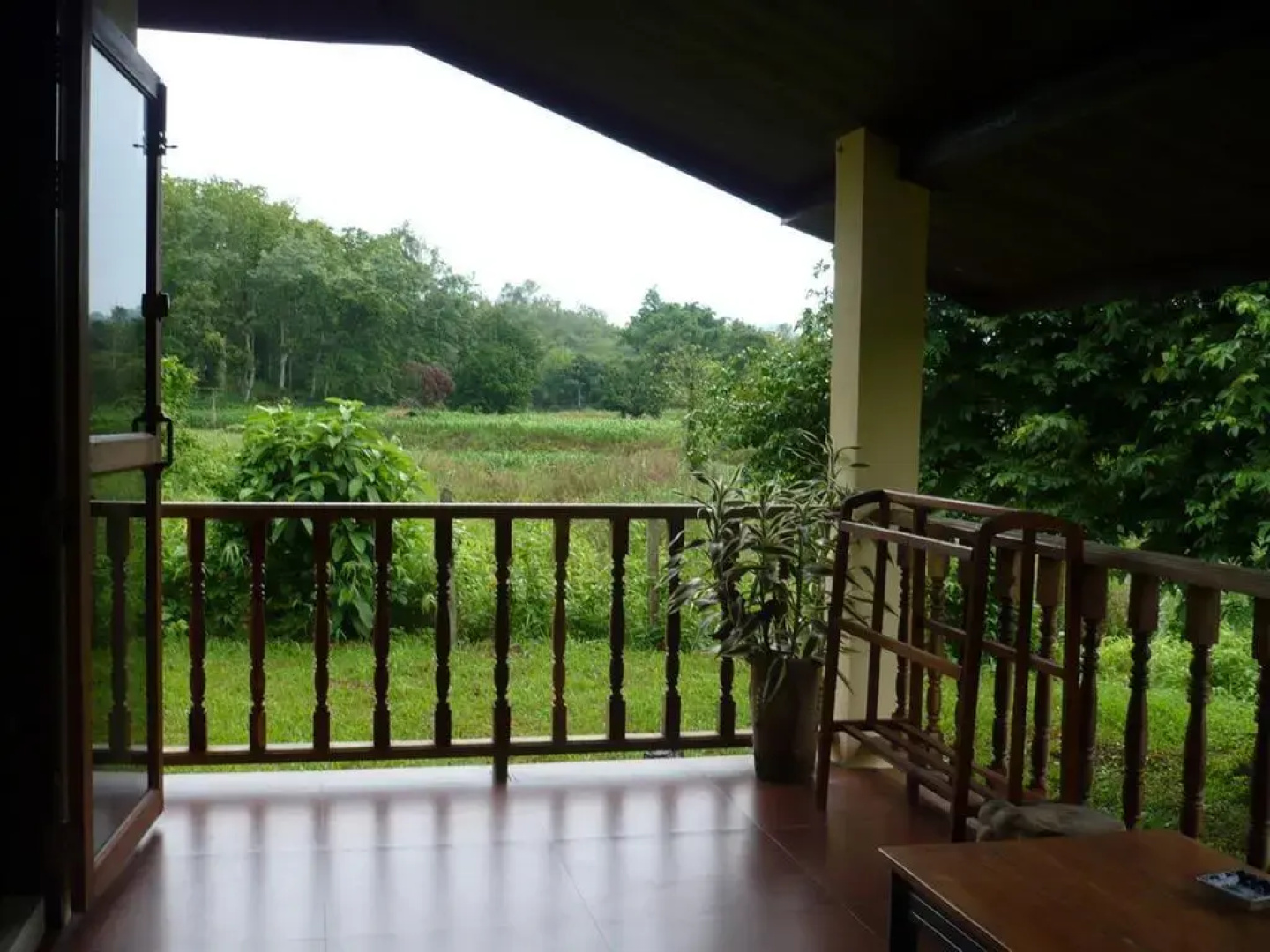 Suancha Tea Garden