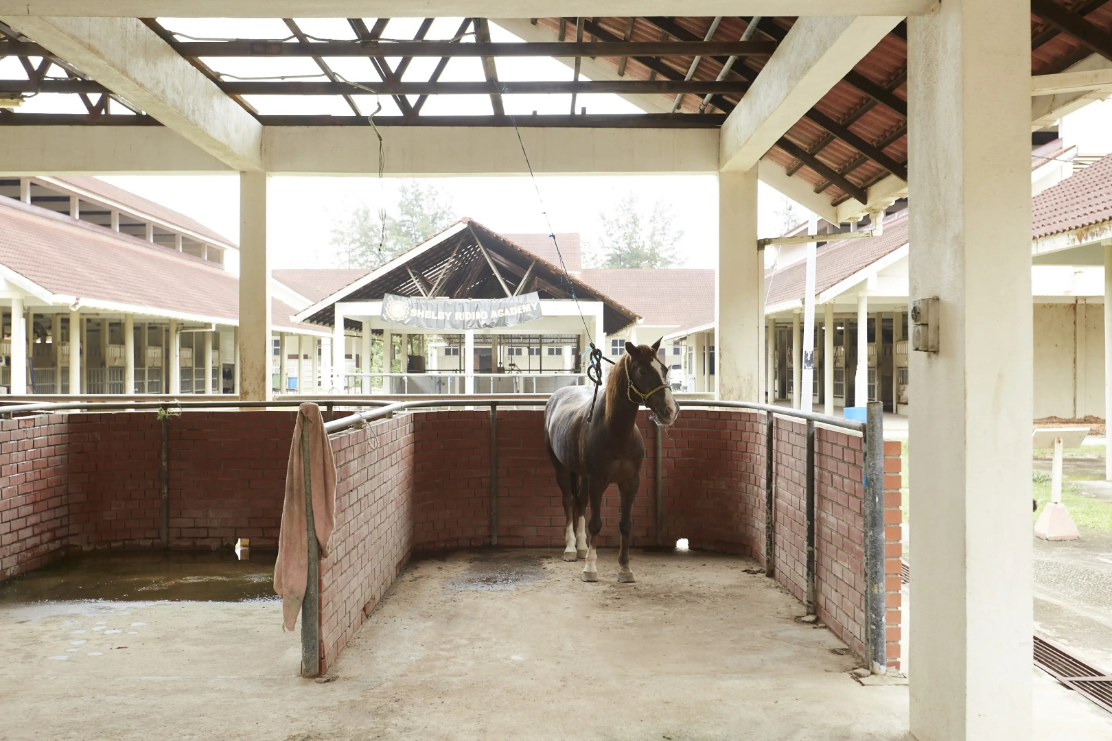 Terengganu Equestrian Resort