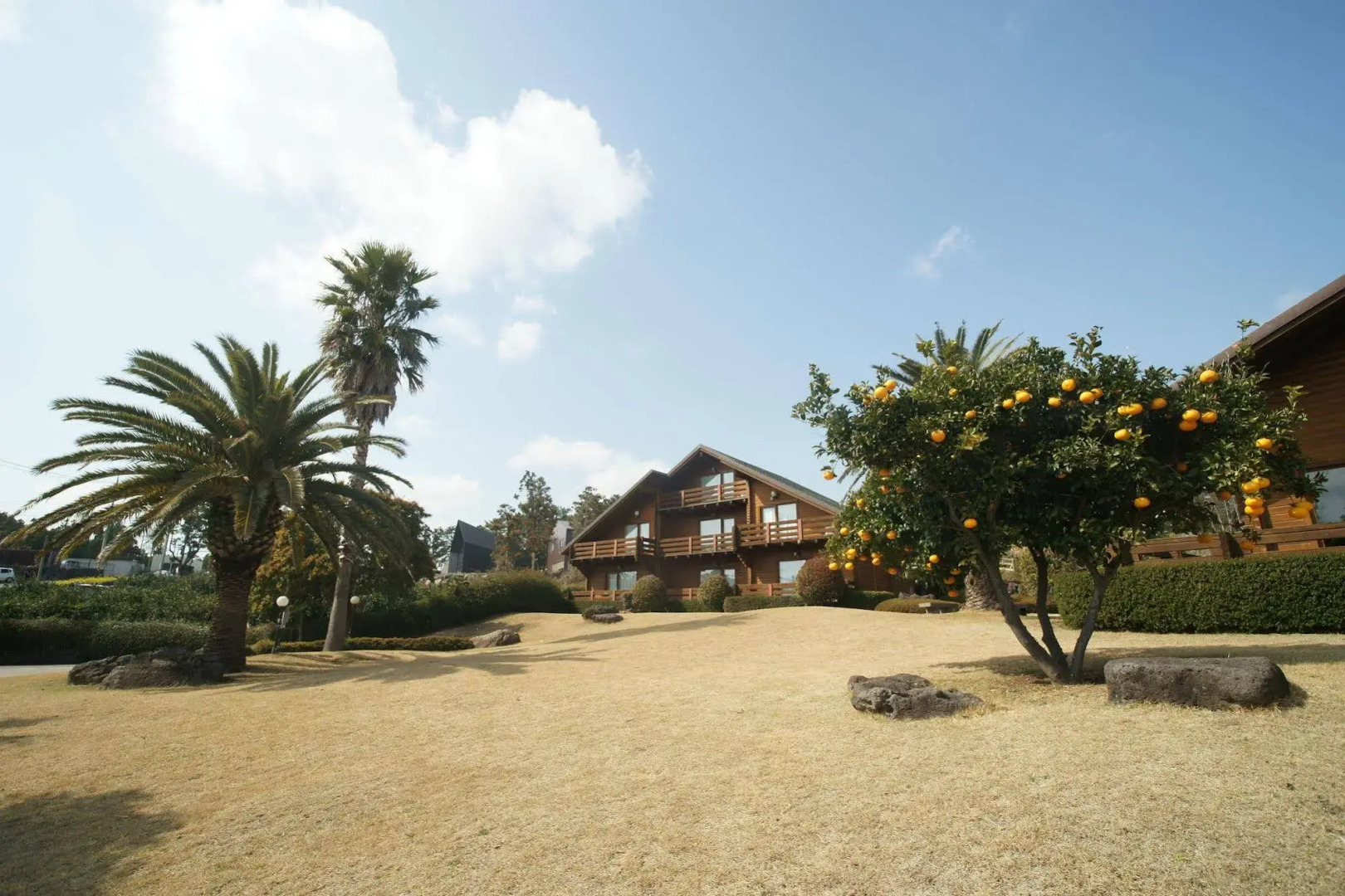 Sunny Day Jeju Pension