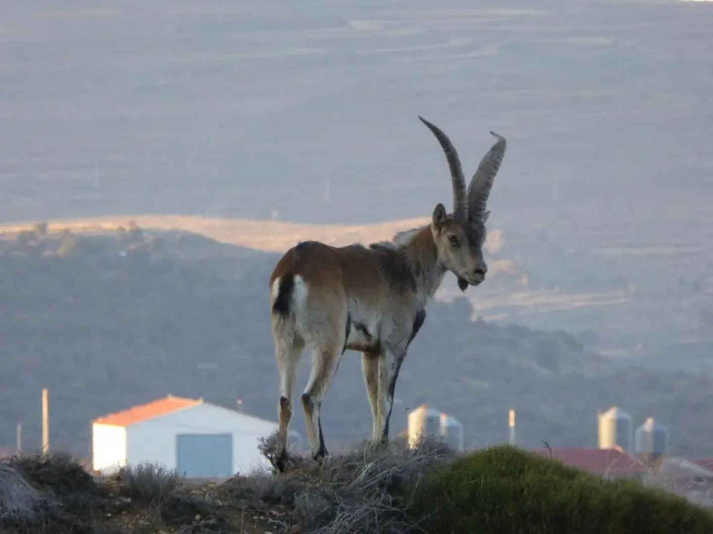 Casa rural La Sabina