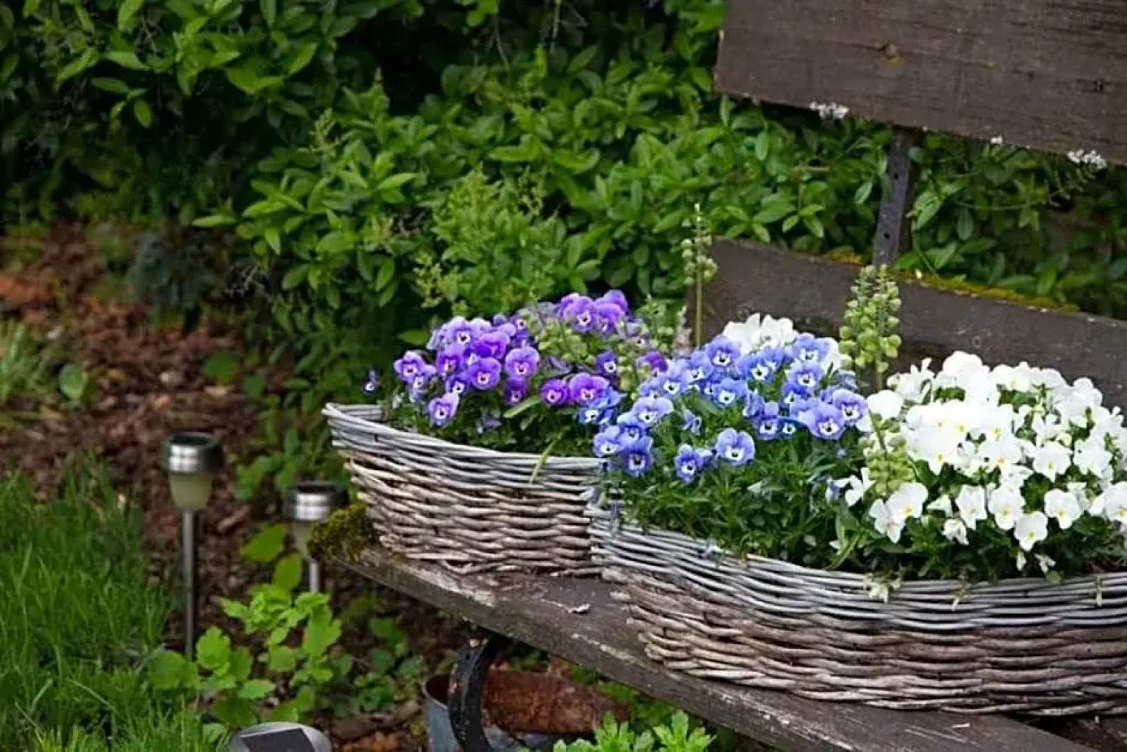 Saarlouis; Ortsteil Beaumarais "Anna's Cottage"Bed&Breakfast "#TravellerAwards2021