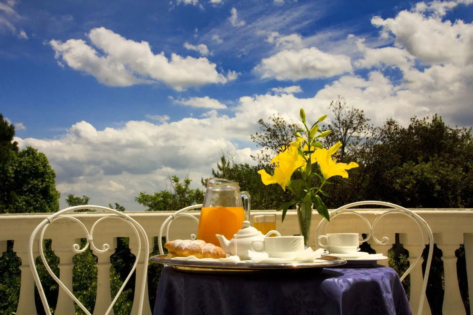 Hotel Alexander Palme