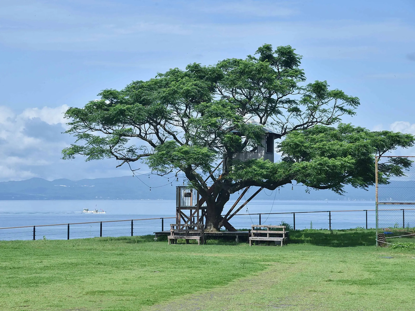 Yukusa Ohsumi Umi no Gakko