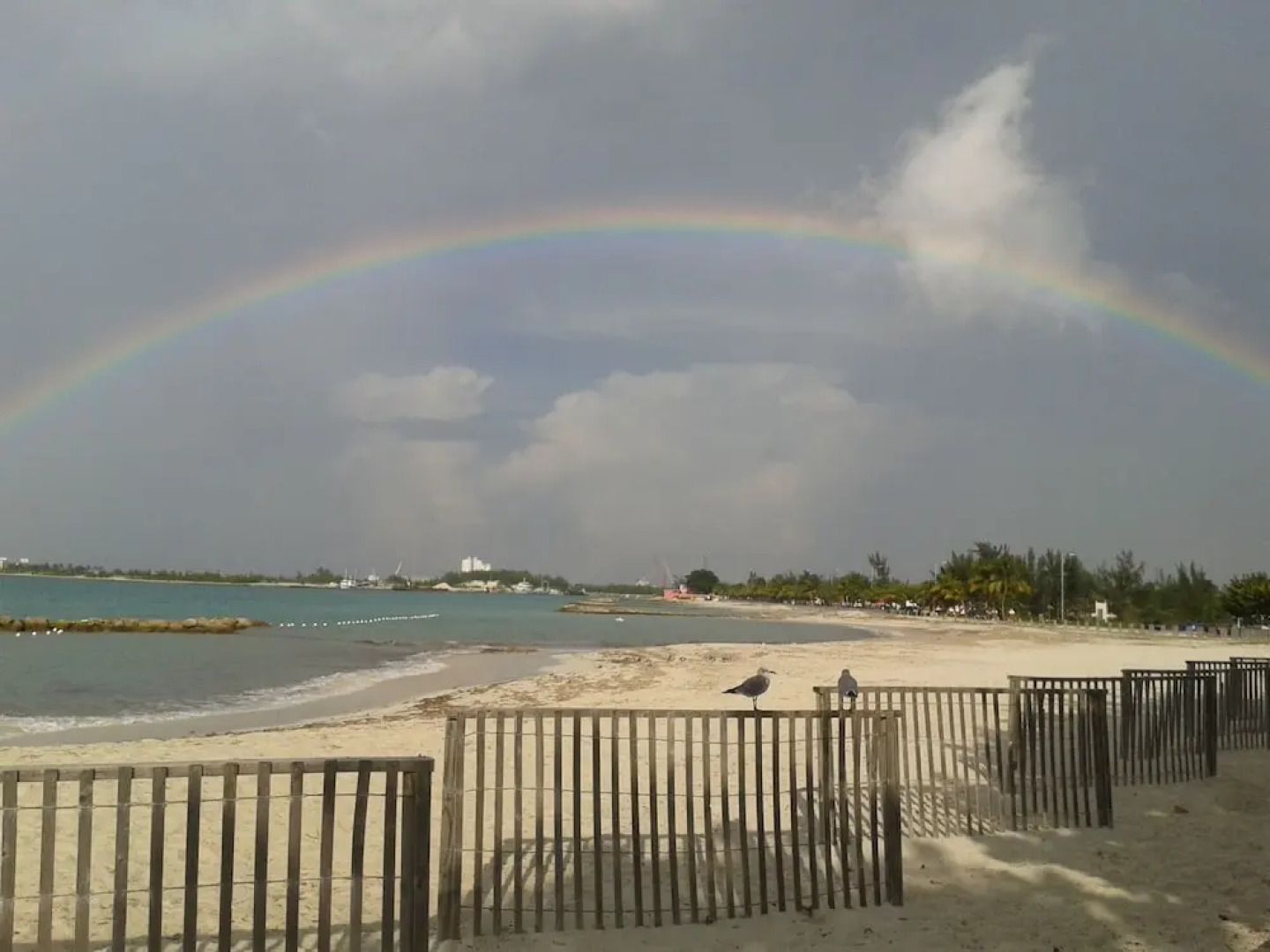 Tropical Gardens Apartment