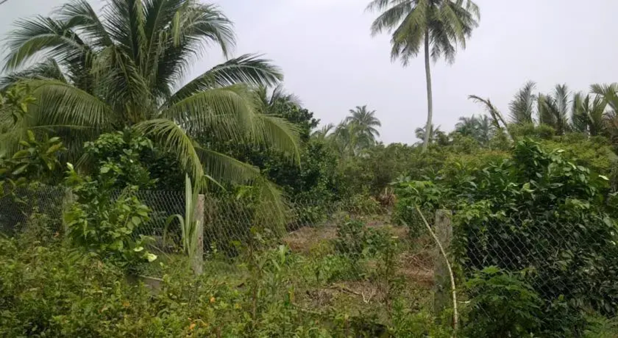 Hong Thai Homestay
