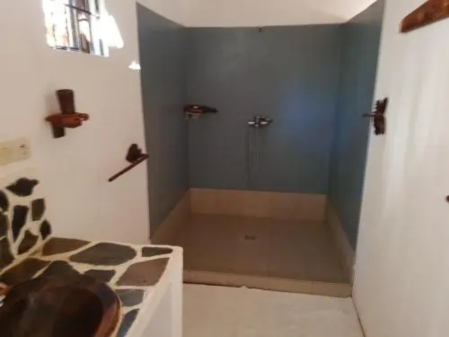 Les Dauphins De Nosy Be