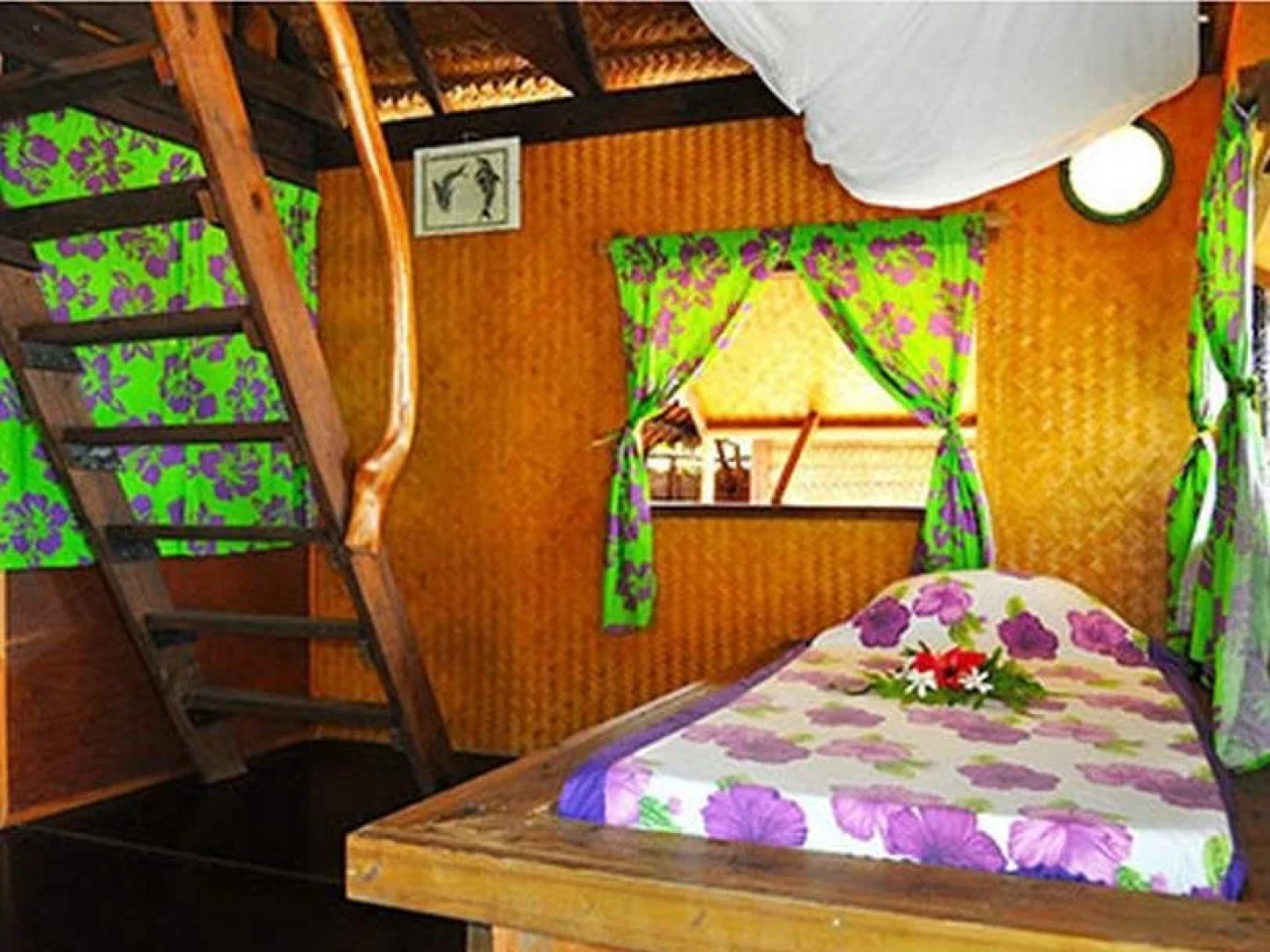 Pension Paparara Dive and Lodge