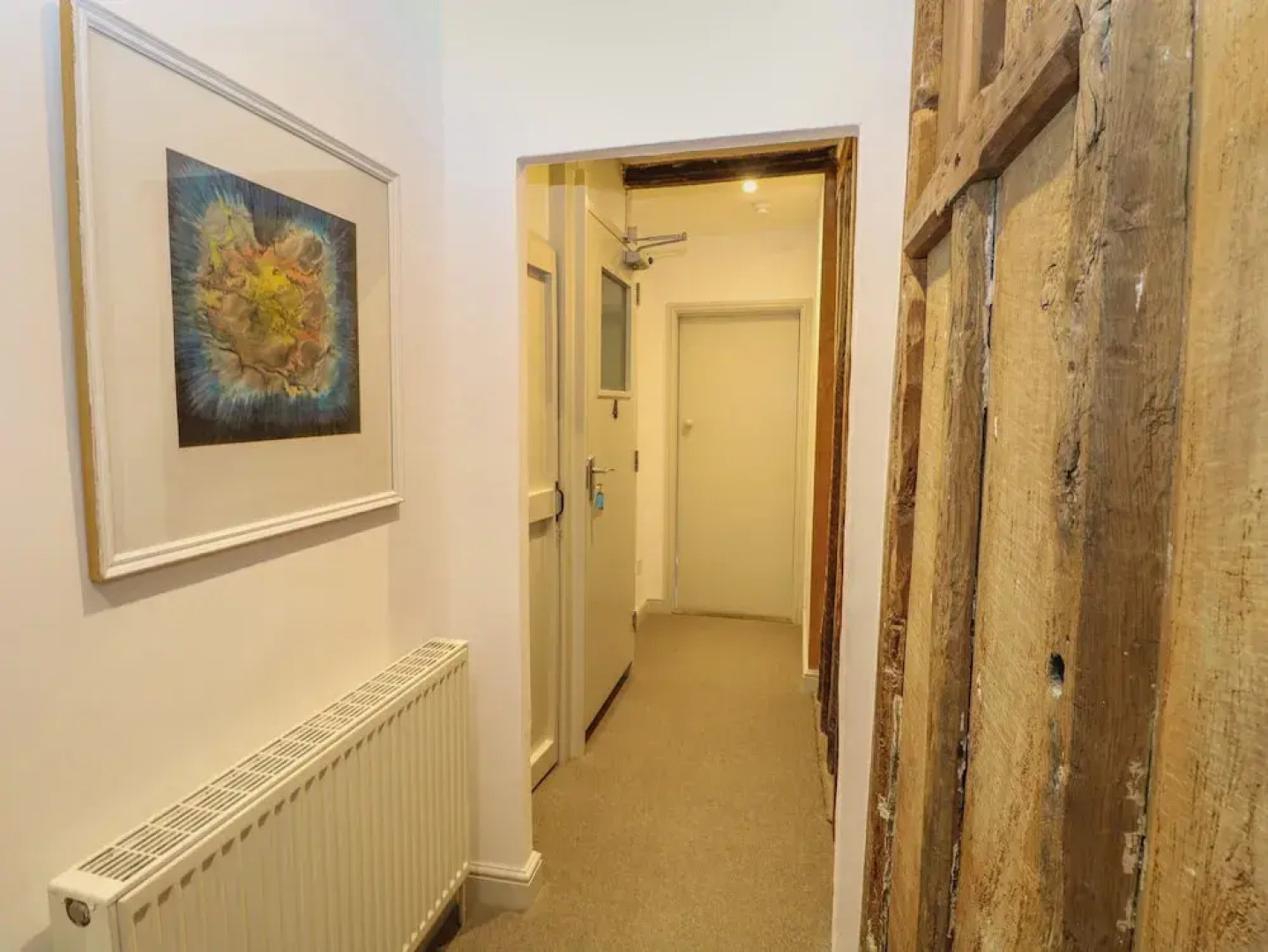 Apartment 4 Chameleon House