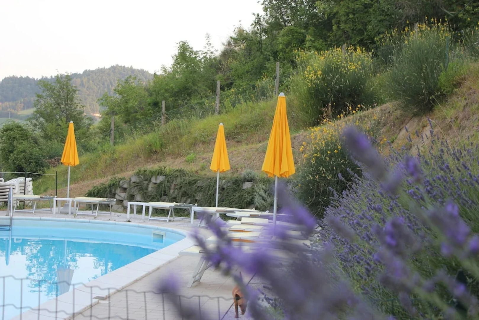 Country House La Valle Del Vento