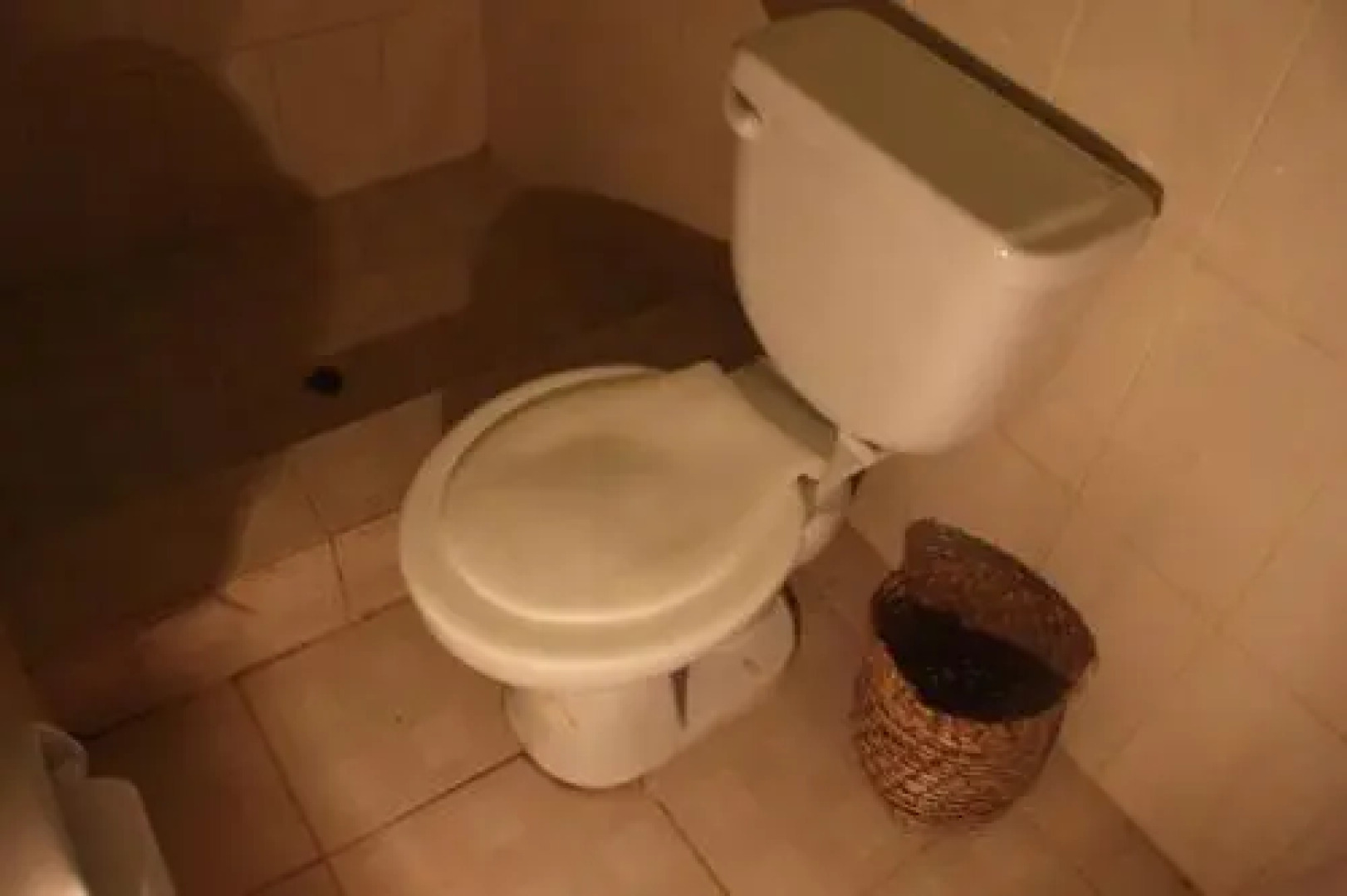 Sachahuasca Backpacker