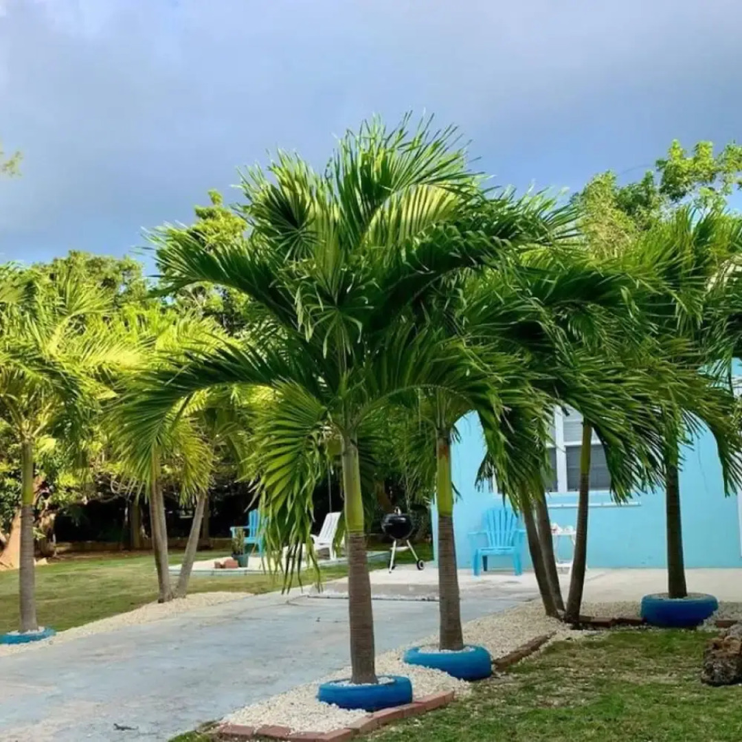 S4 BP Steps to Beach