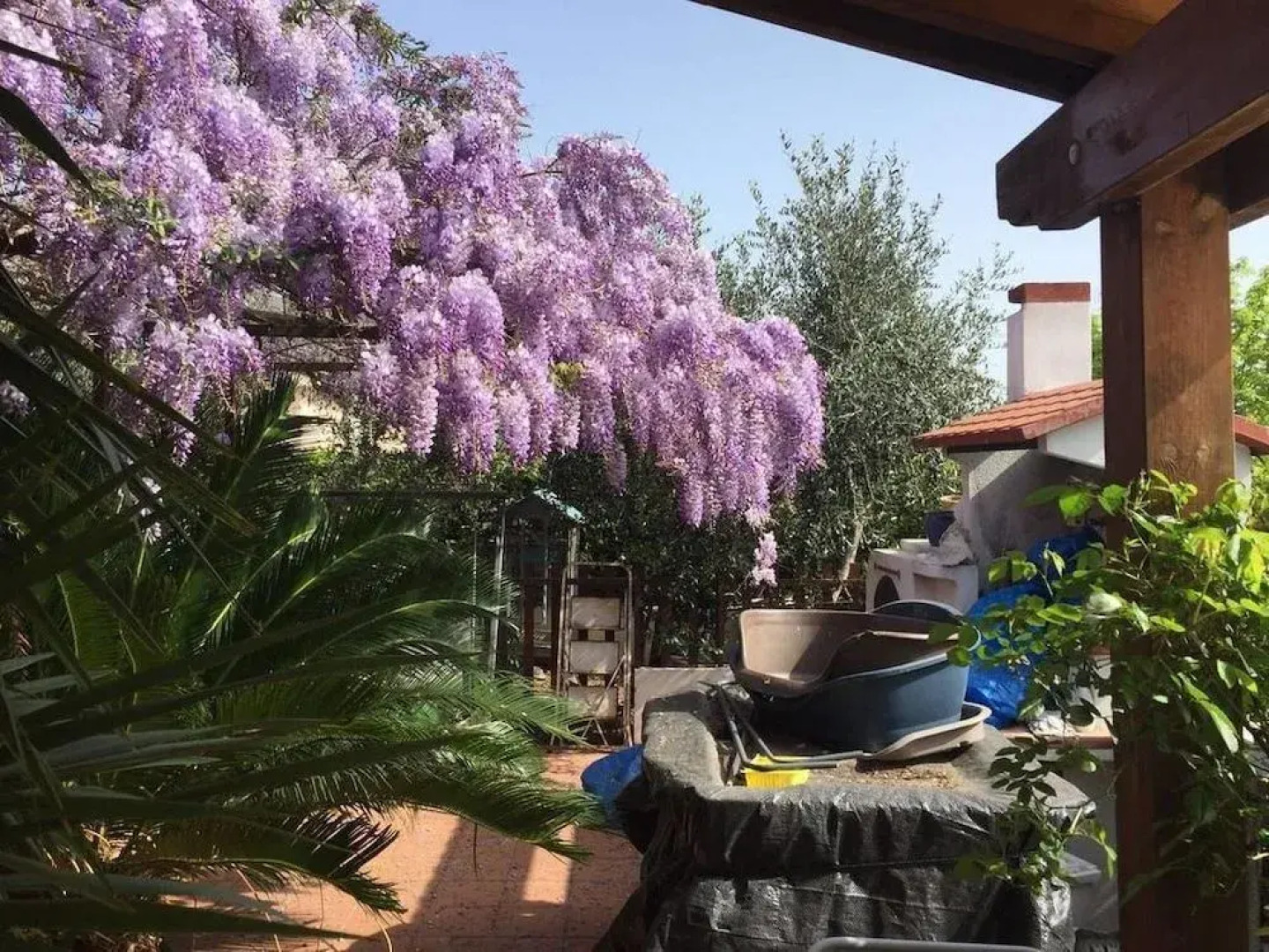 B&B La Gatta E Il Glicine