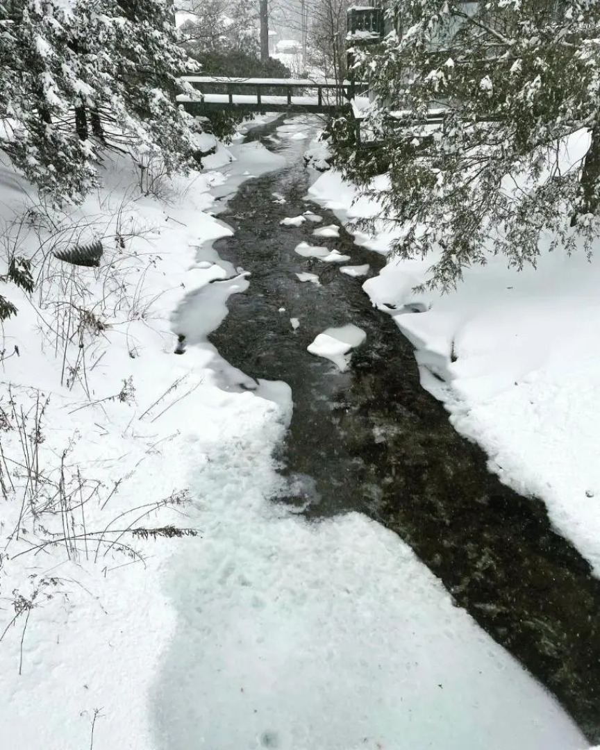 Albert's Lodge at Mt. Mitchell