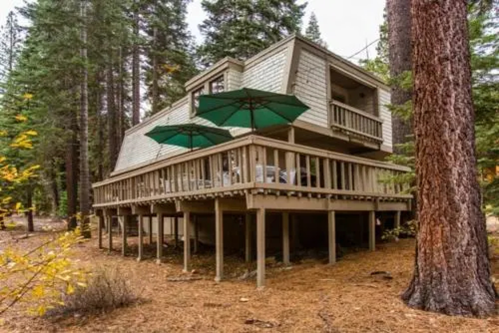 Roycraft Dog Friendly Cabin