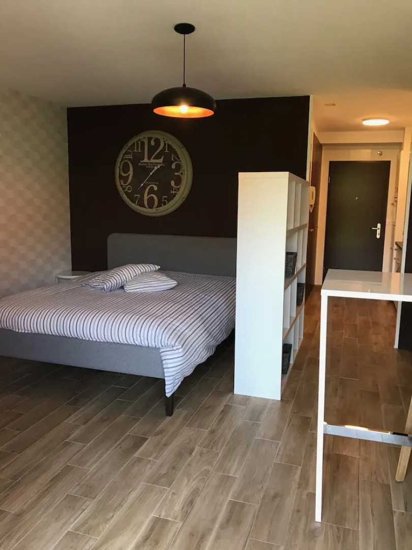 Large Studio Near Epfl And Lausanne City Center