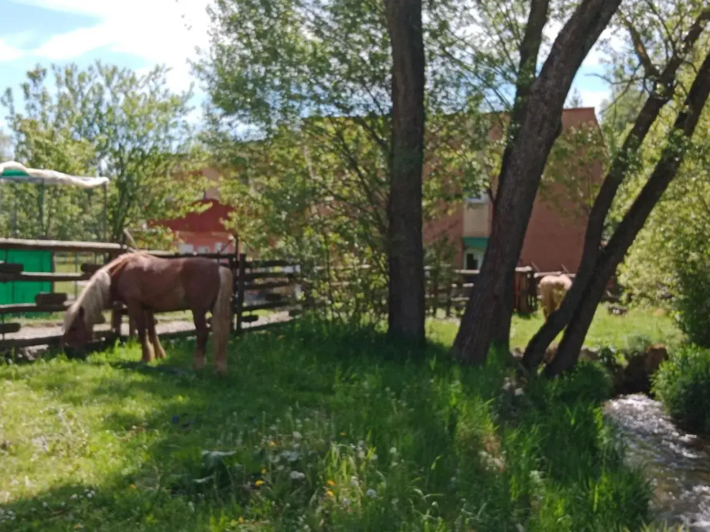 Penzión Monty Ranch