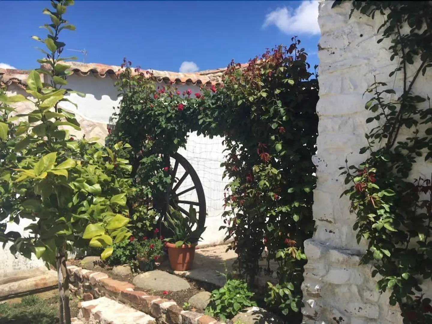 Hotel Rural las Cinco Ranas