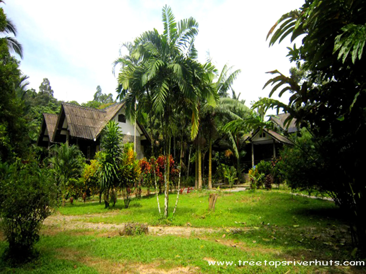 Tree Top River Huts
