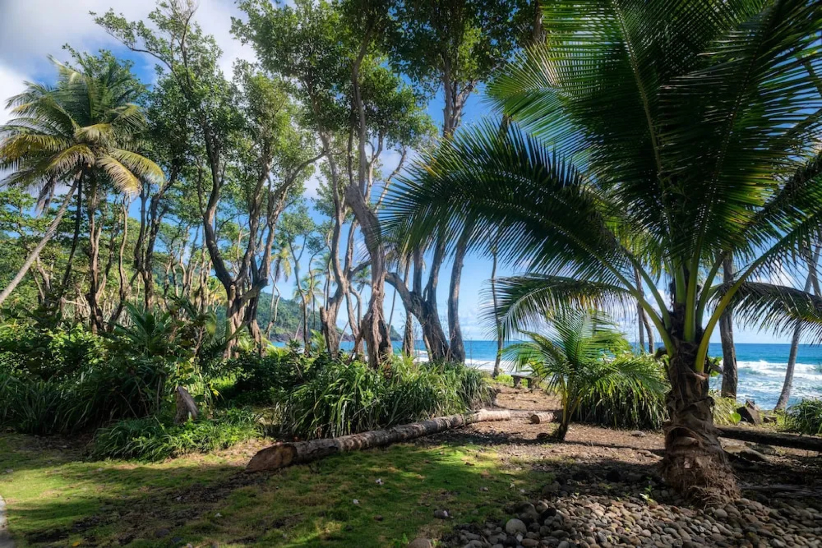 Rosalie Bay Eco Resort & Spa