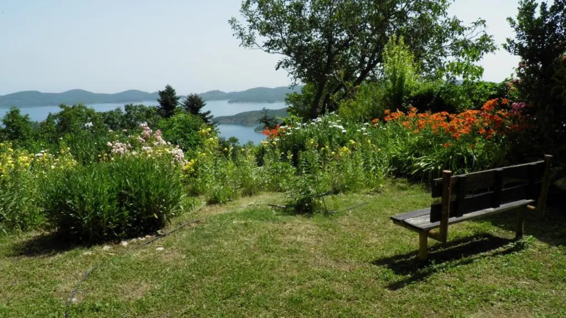 Guesthouse Mitsiopoulou