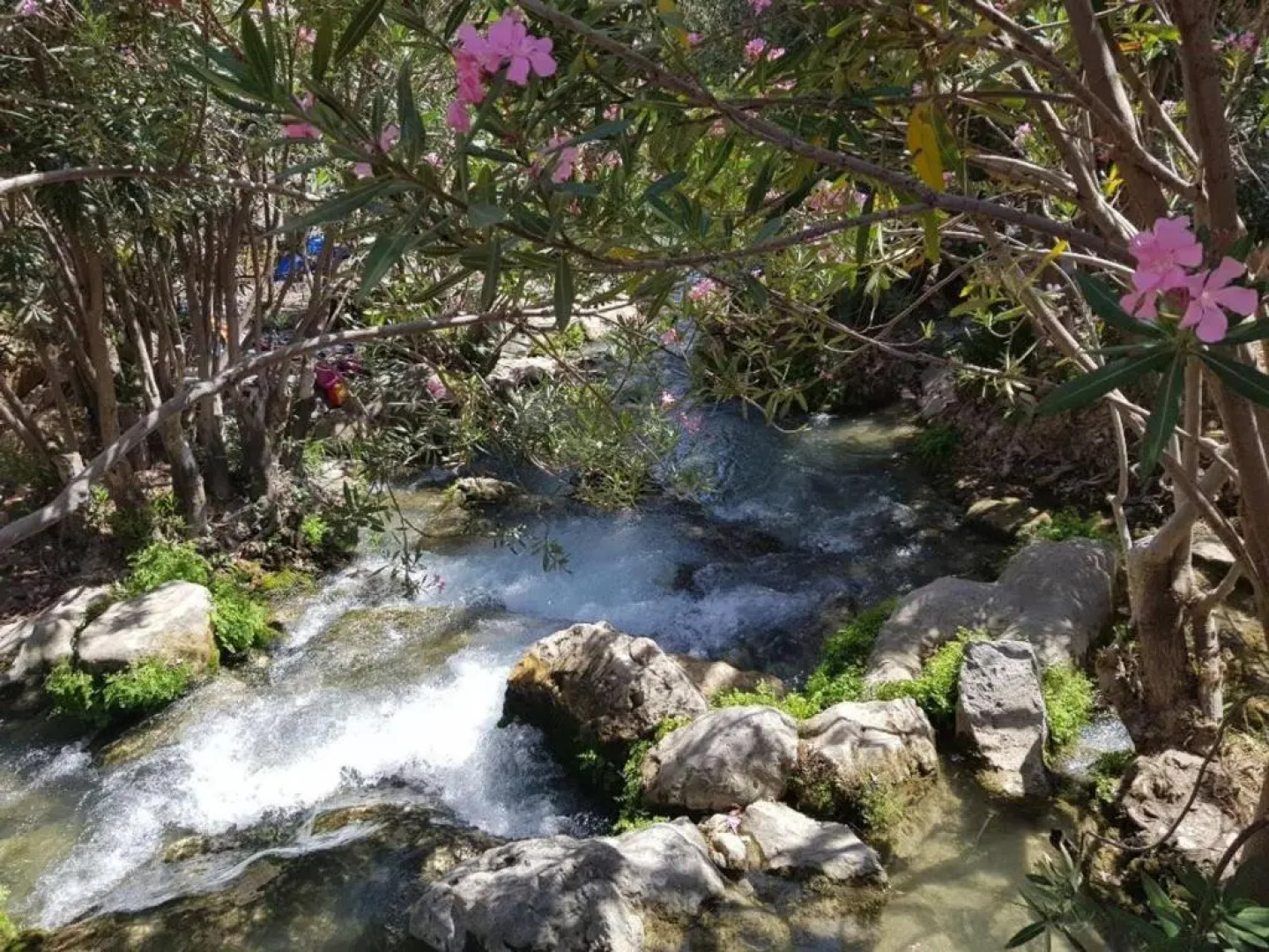 RS Jardin del Pintor VDE 066