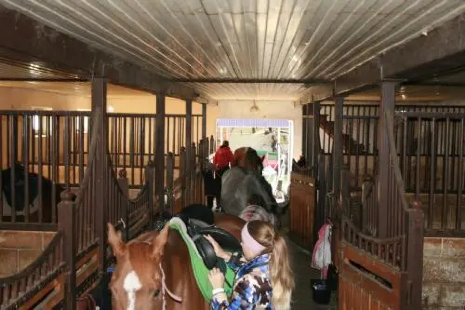 Guesthouse Konny dvor Loschinino