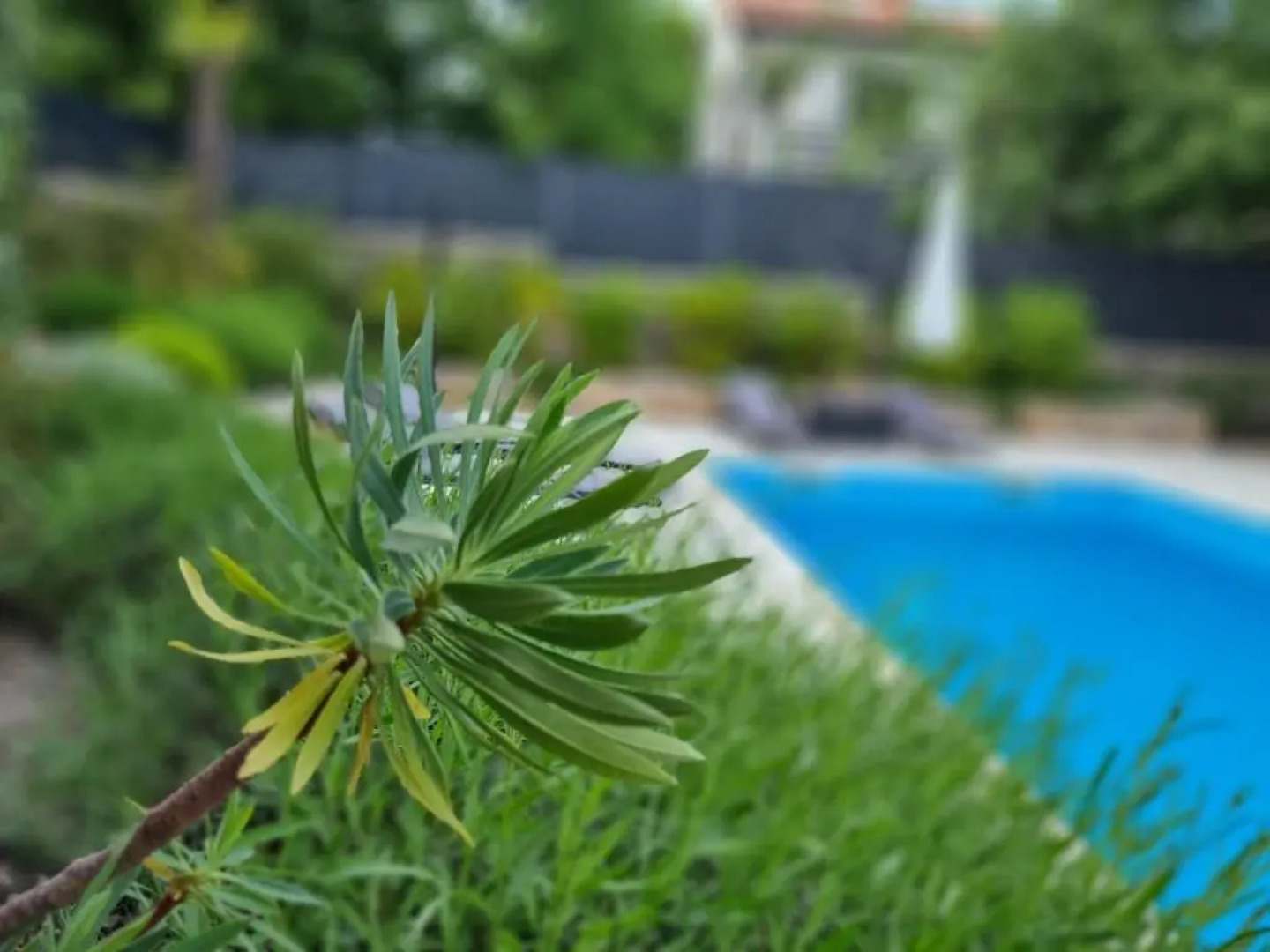 Villa Bellina Muraj - Kornic