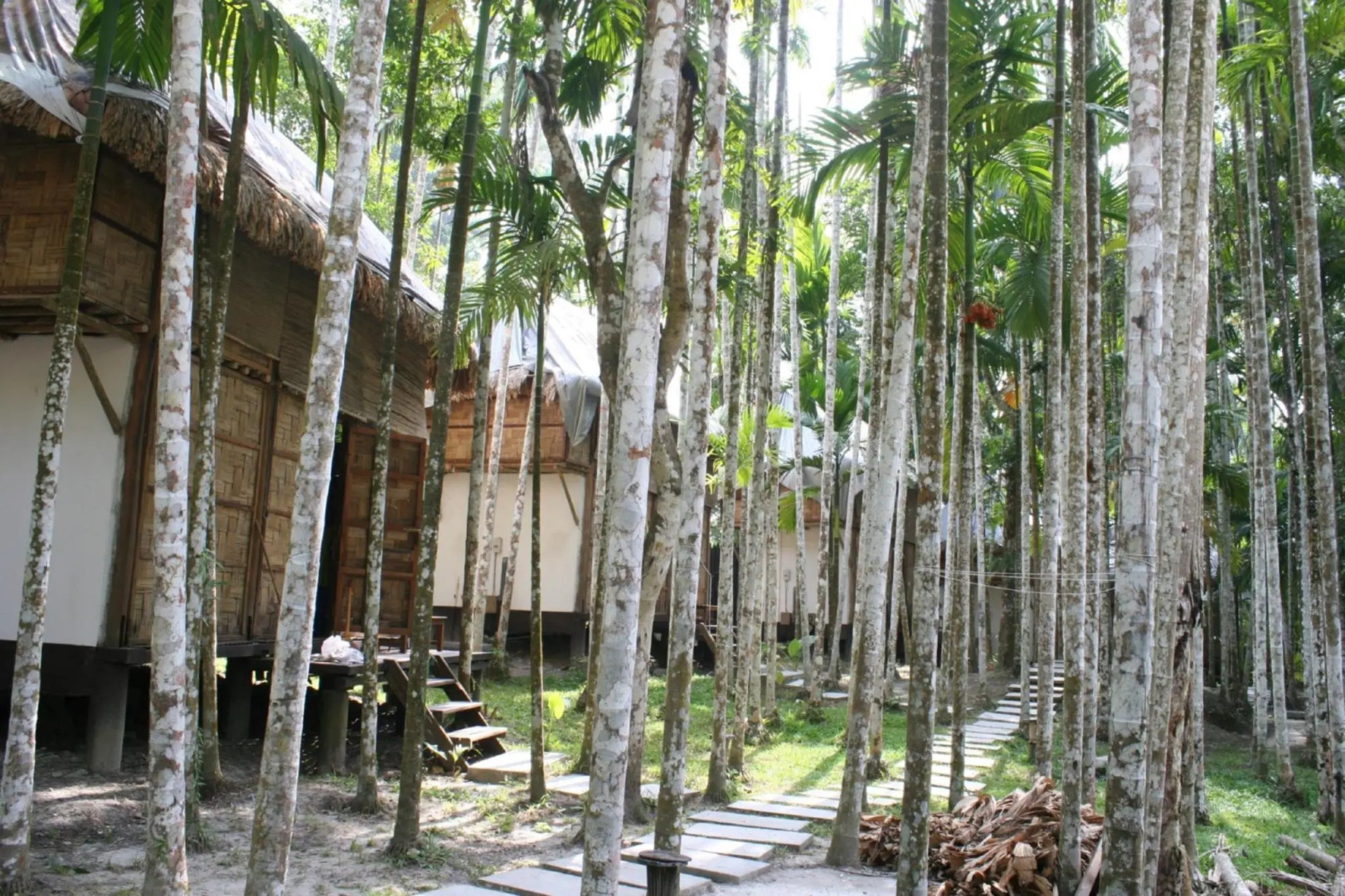 The Flying Elephant Resort-Havelock Island