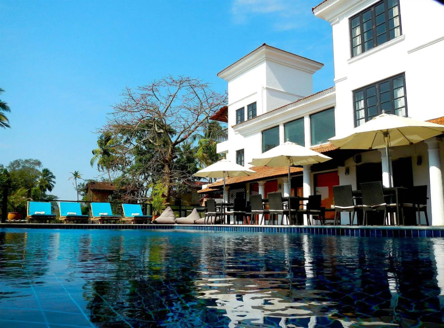 Sol De Goa by Sereno