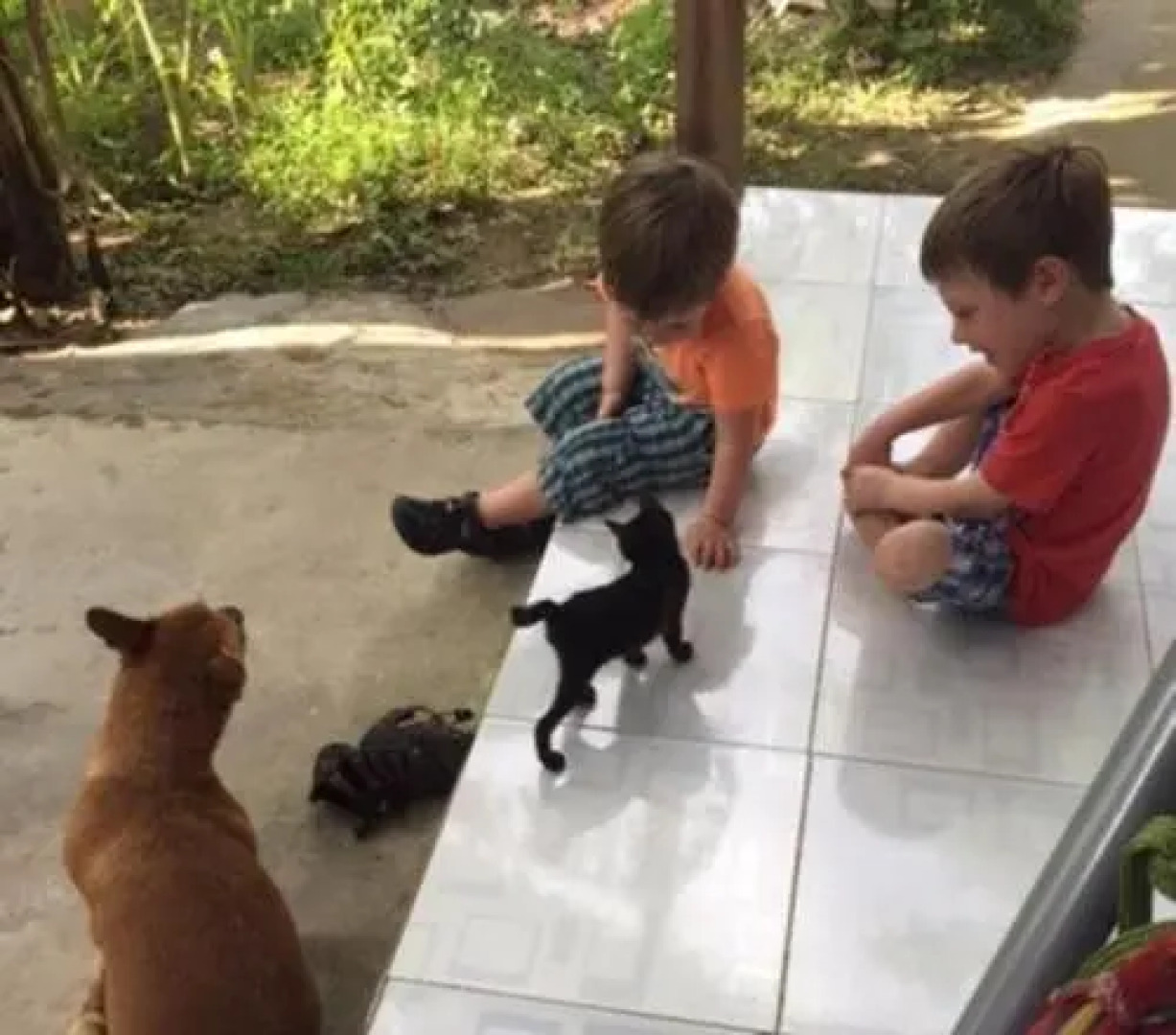 Green Garden Homestay Can Tho