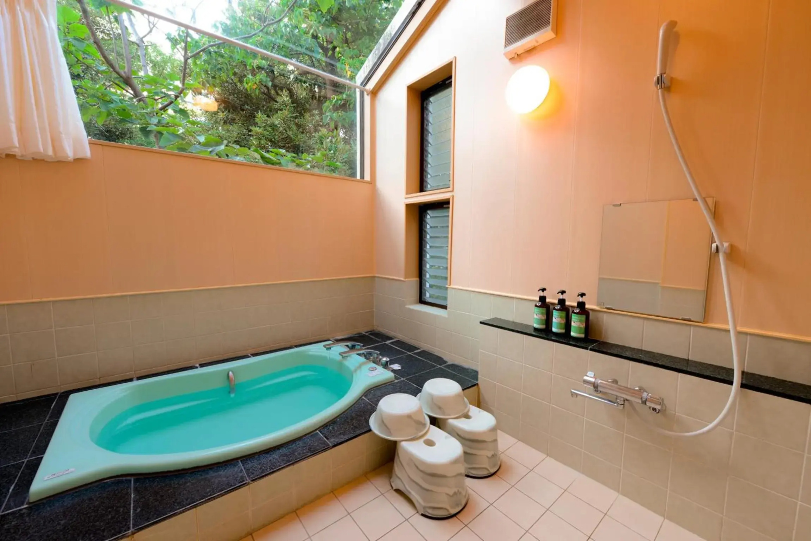 Lenessa Jyougasaki
