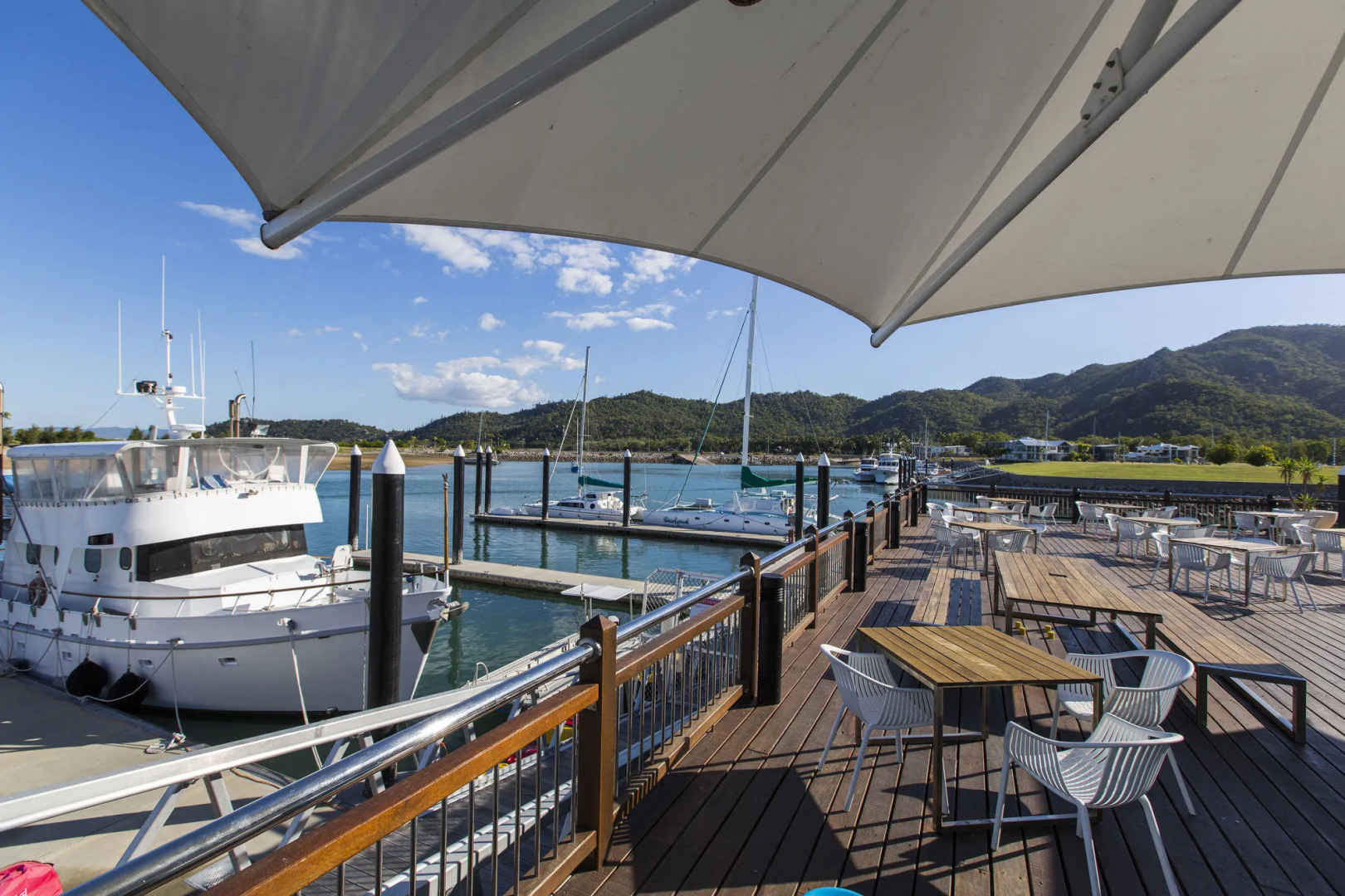 Peppers Blue on Blue