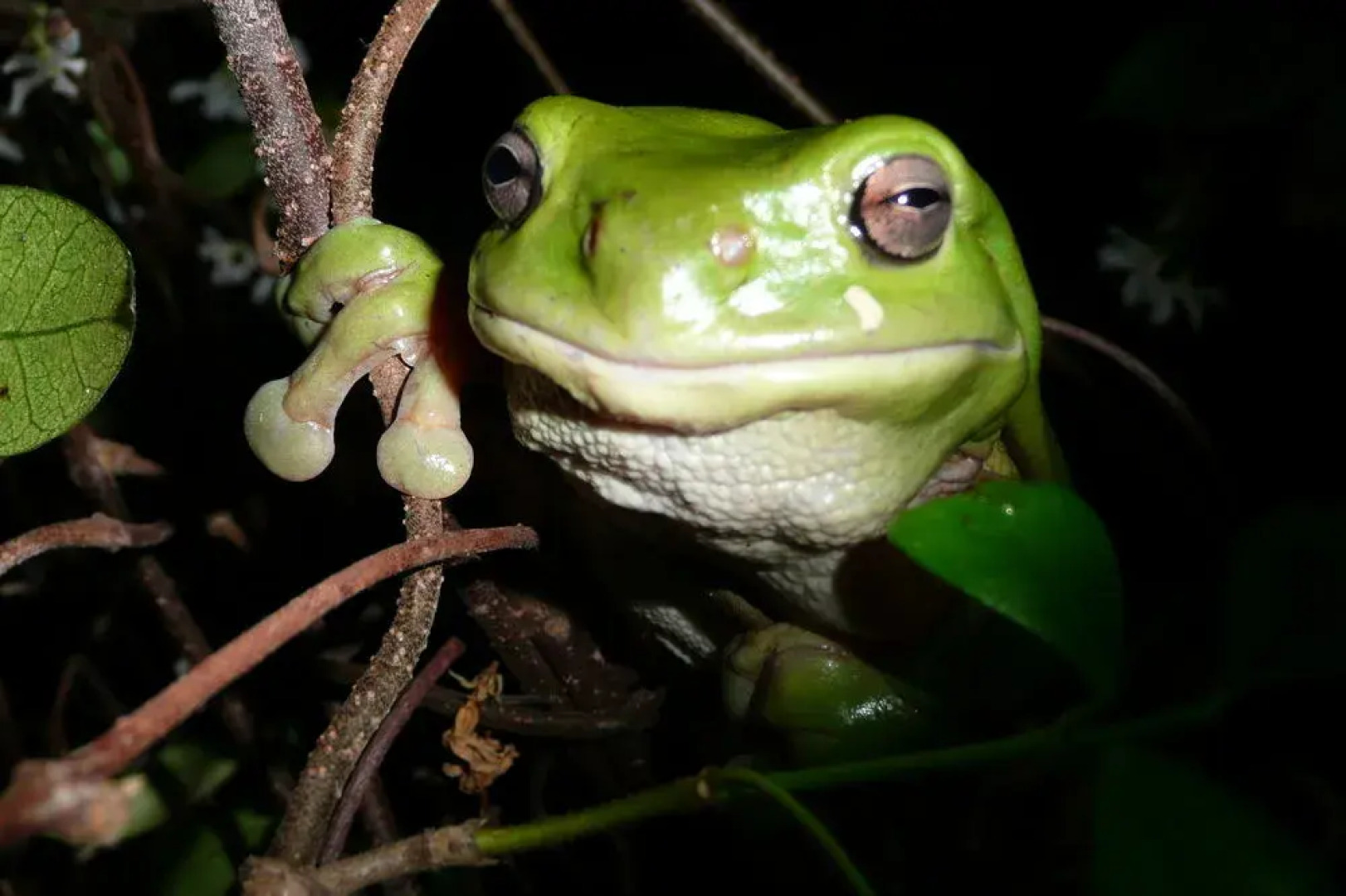 Yarrandabbi Dreaming Boutique B&B