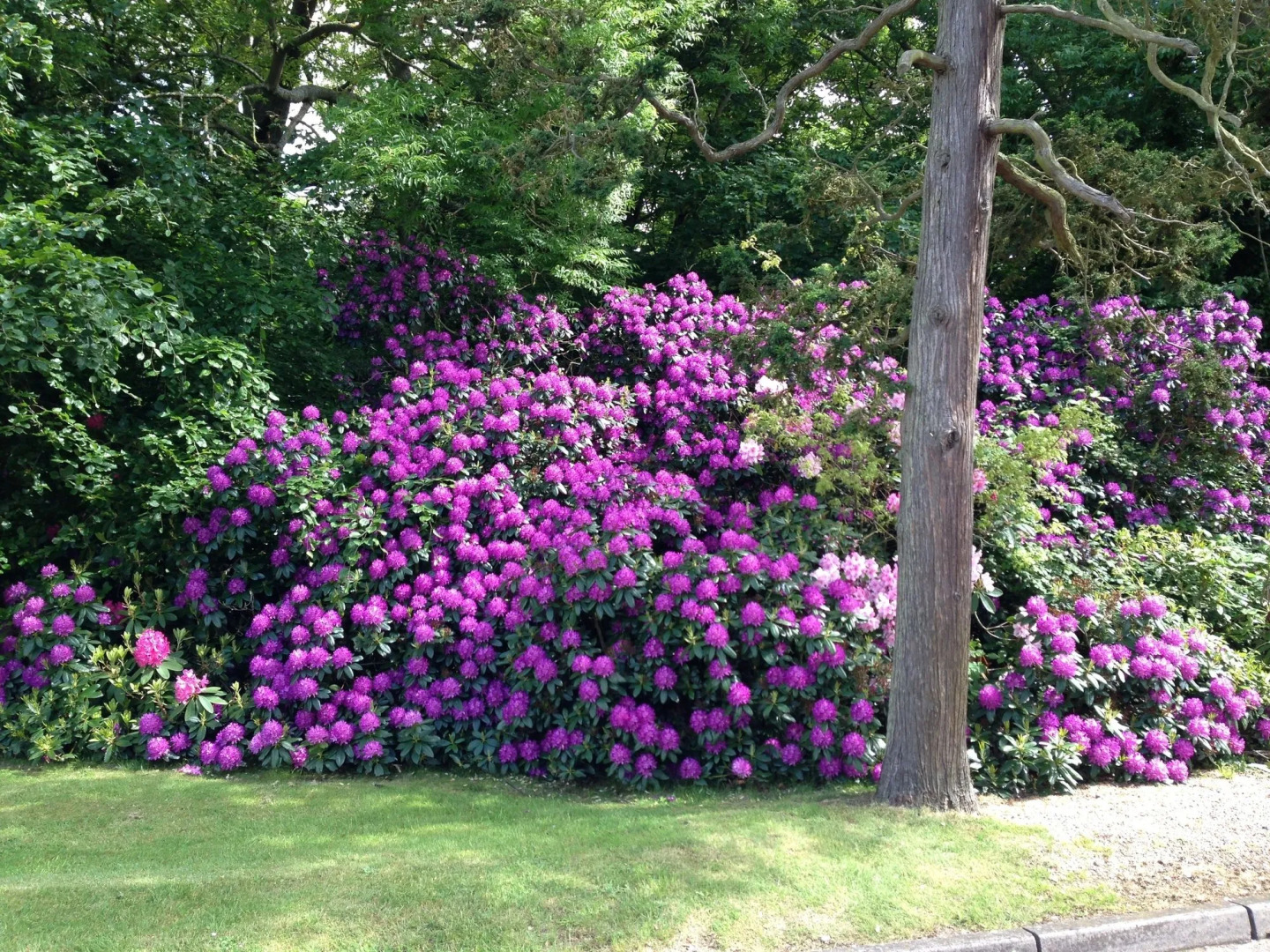 Best Western Ipswich Hotel