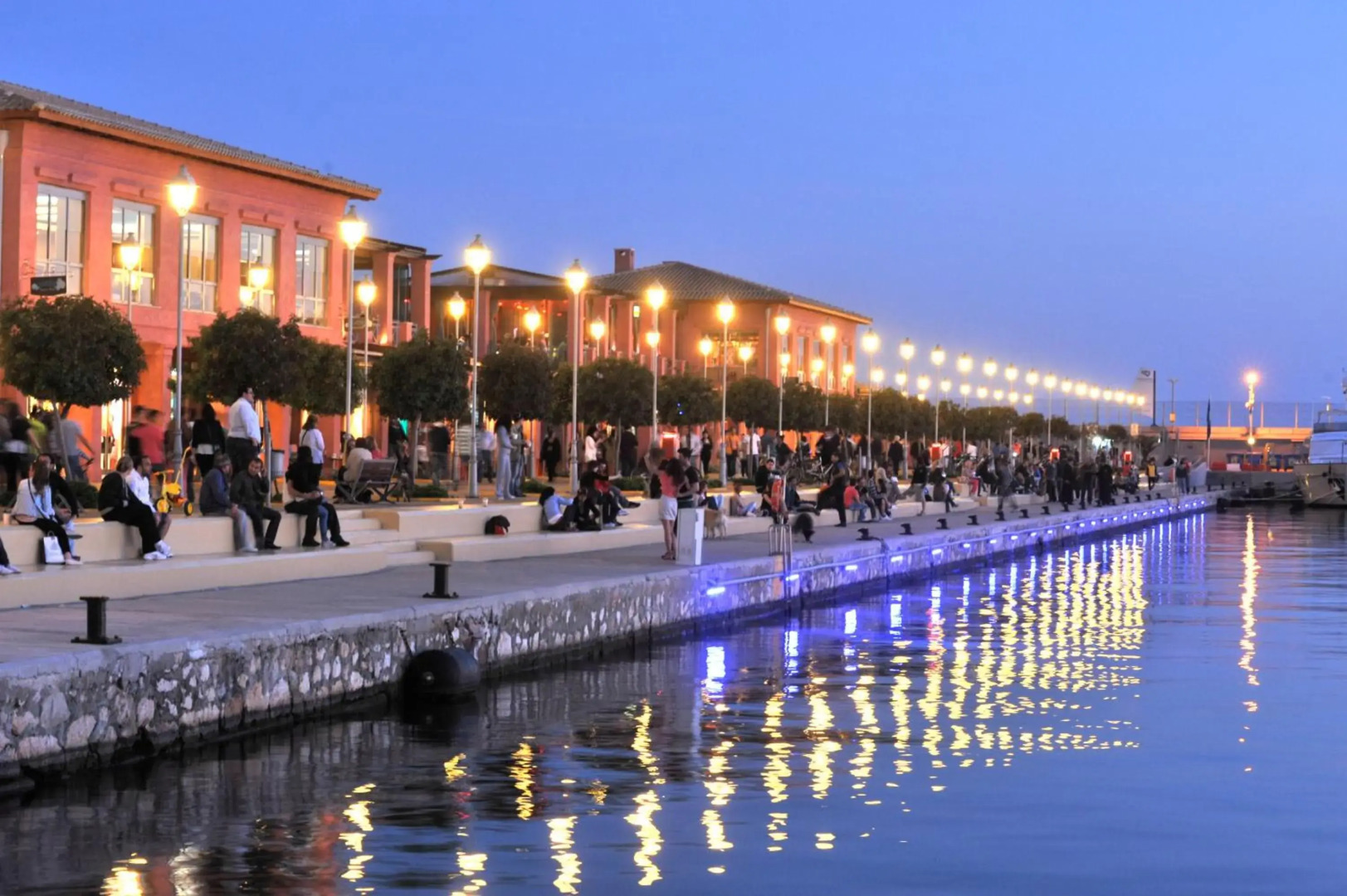 Blue Ark Athenian Nest